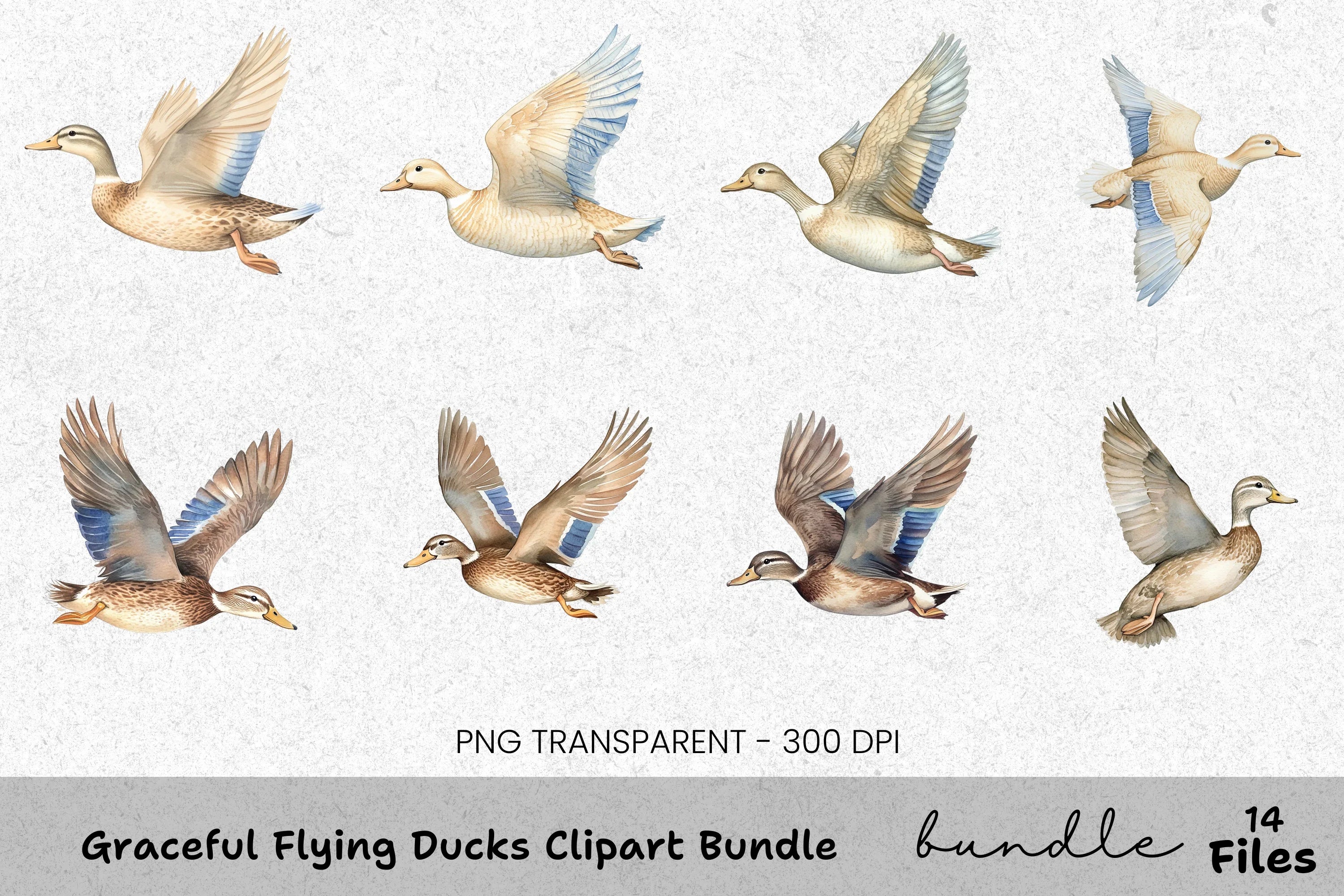 Graceful Flying Ducks Clipart Bundle