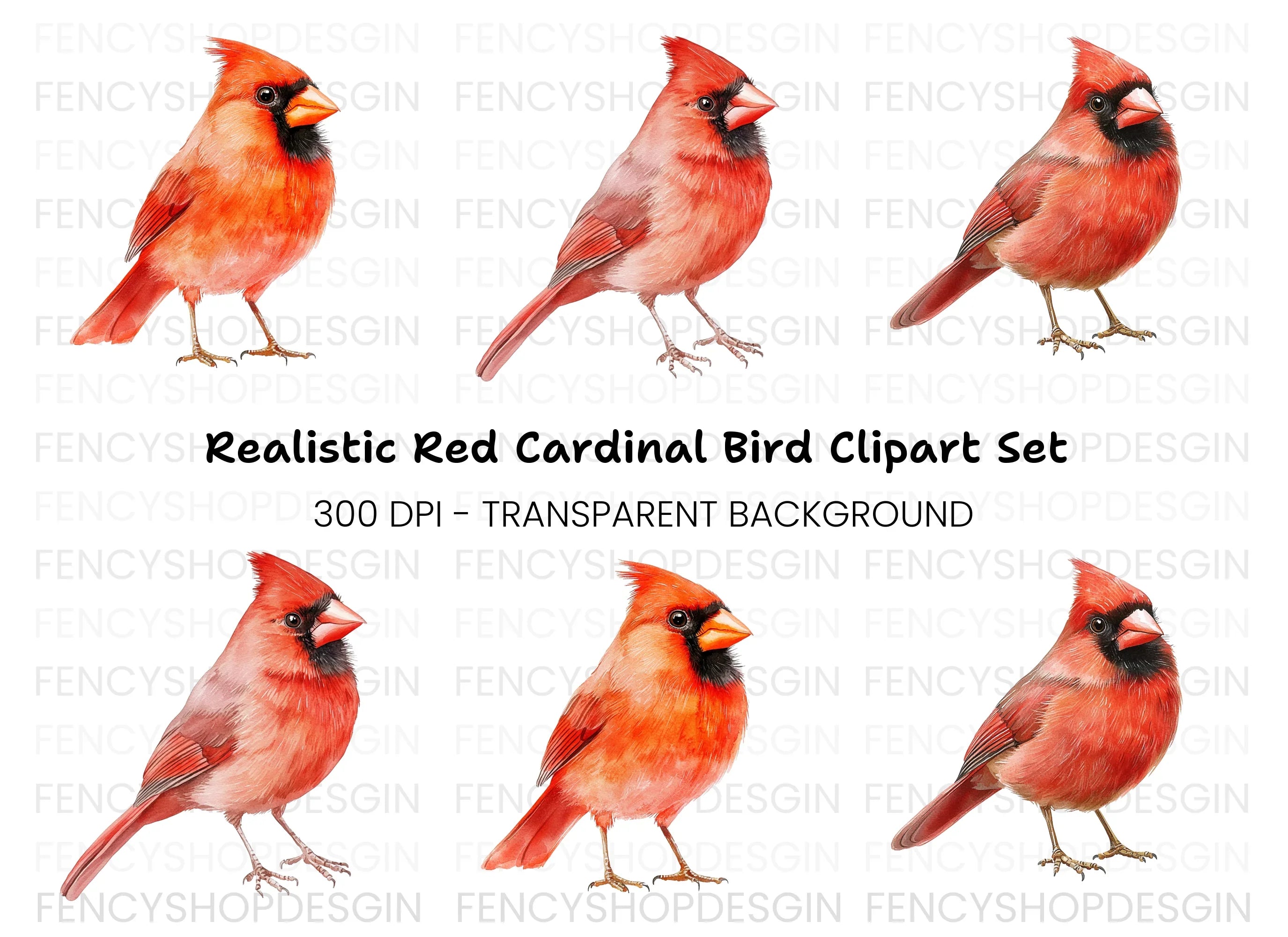 Beautiful Cardinal Bird Clipart Bundle