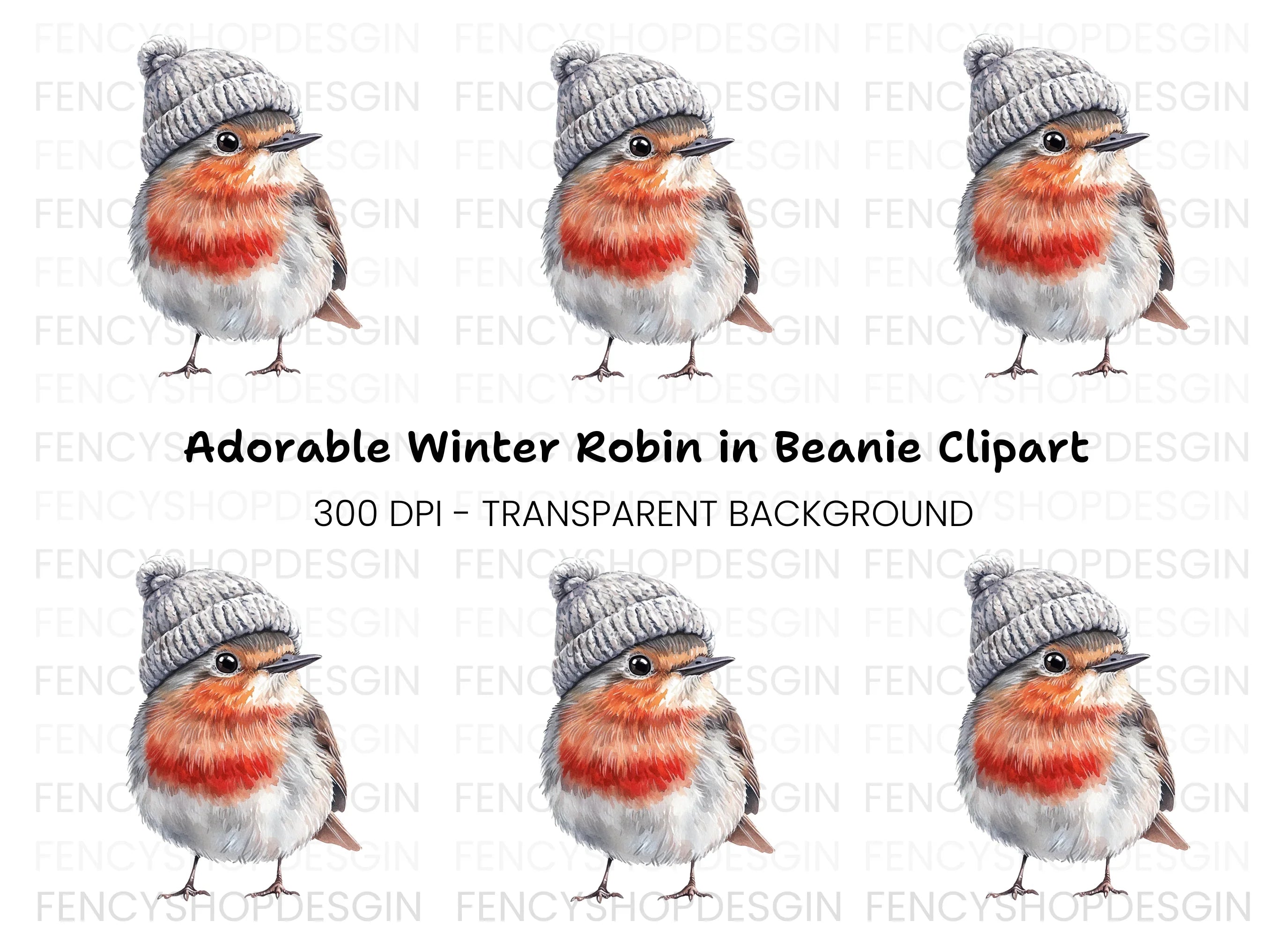 Charming Robin with Beanie Clipart Bundle