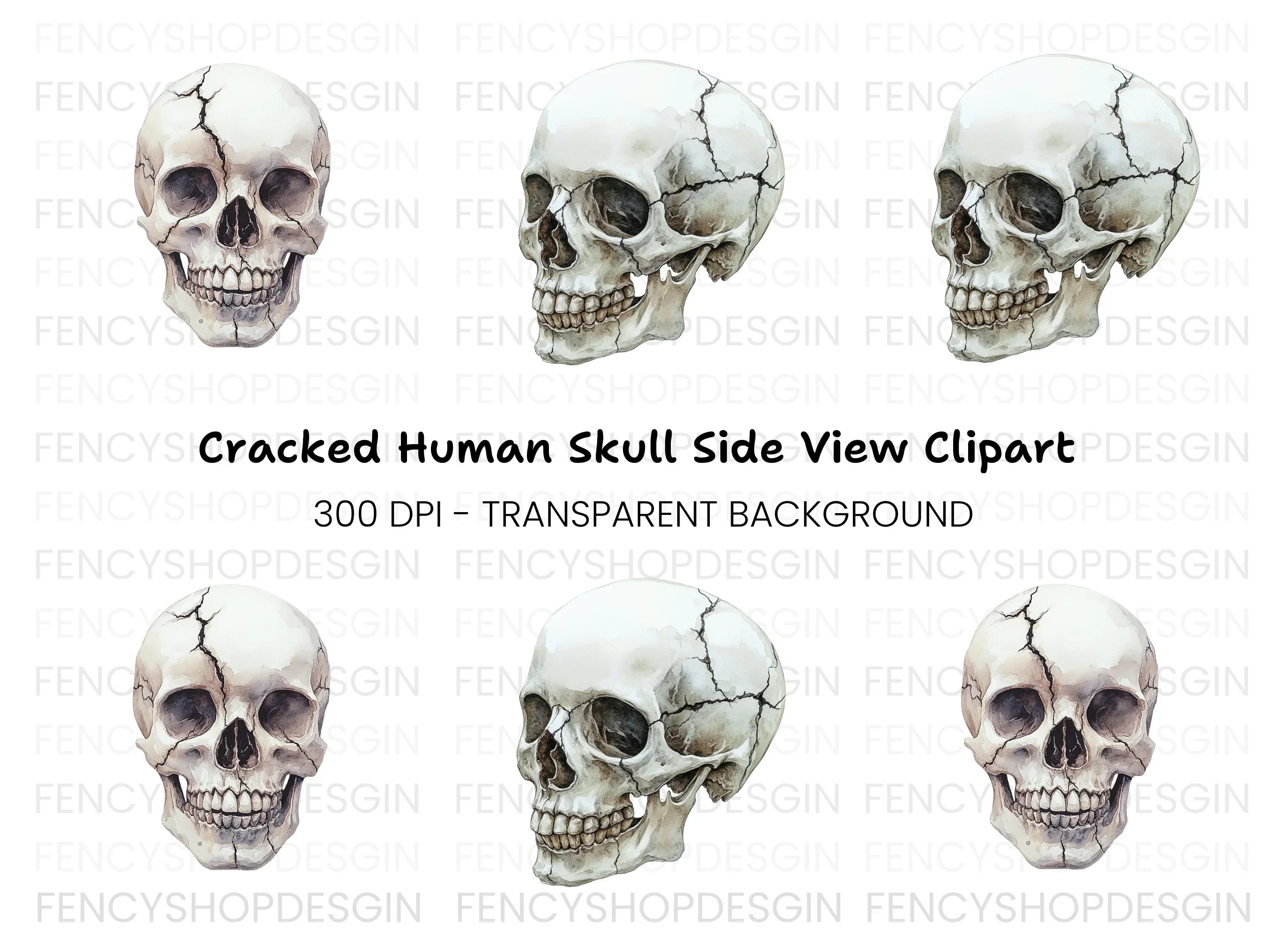Cracked Skull Side View Clipart Bundle