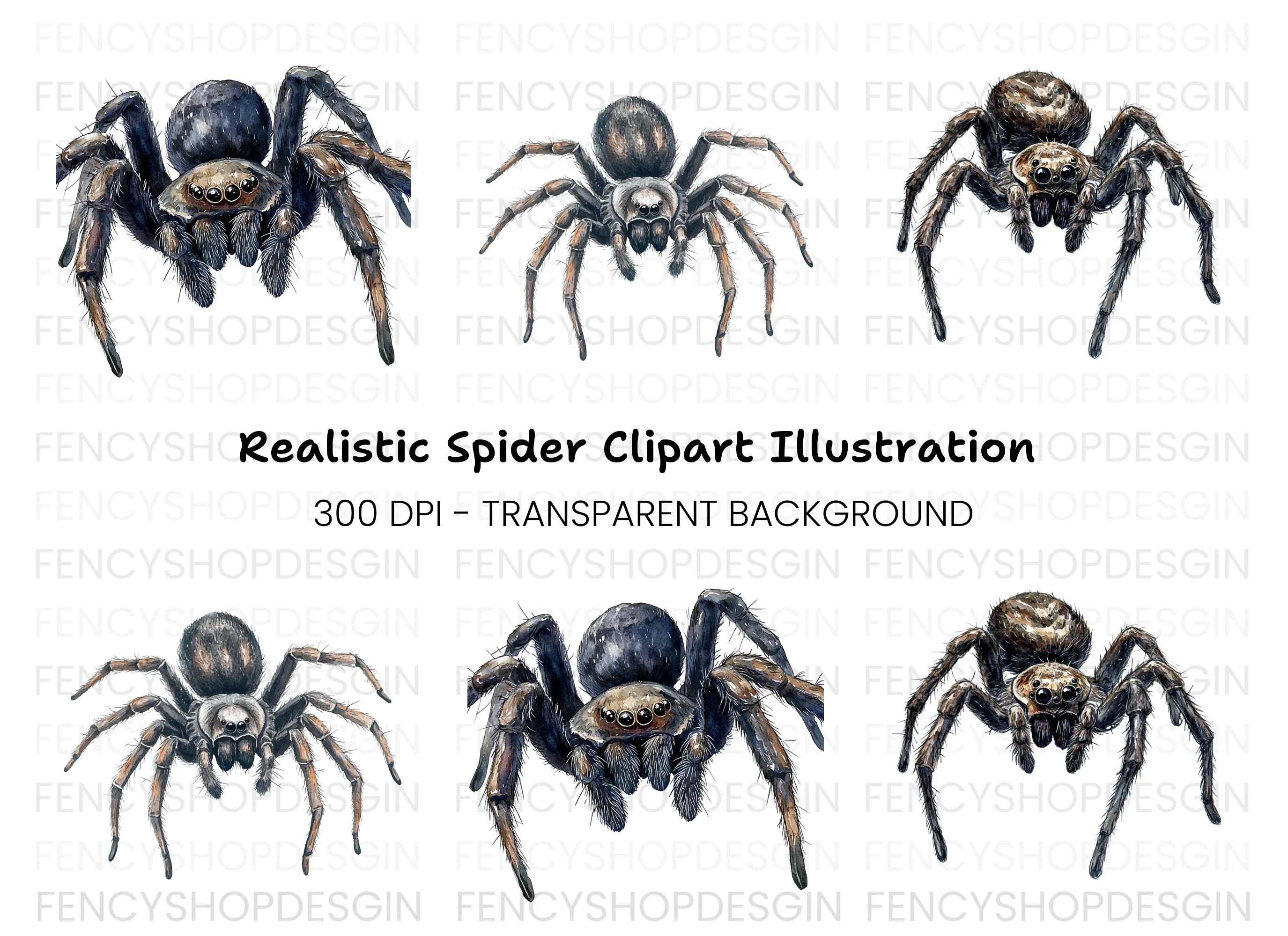 Realistic Spider Clipart Bundle