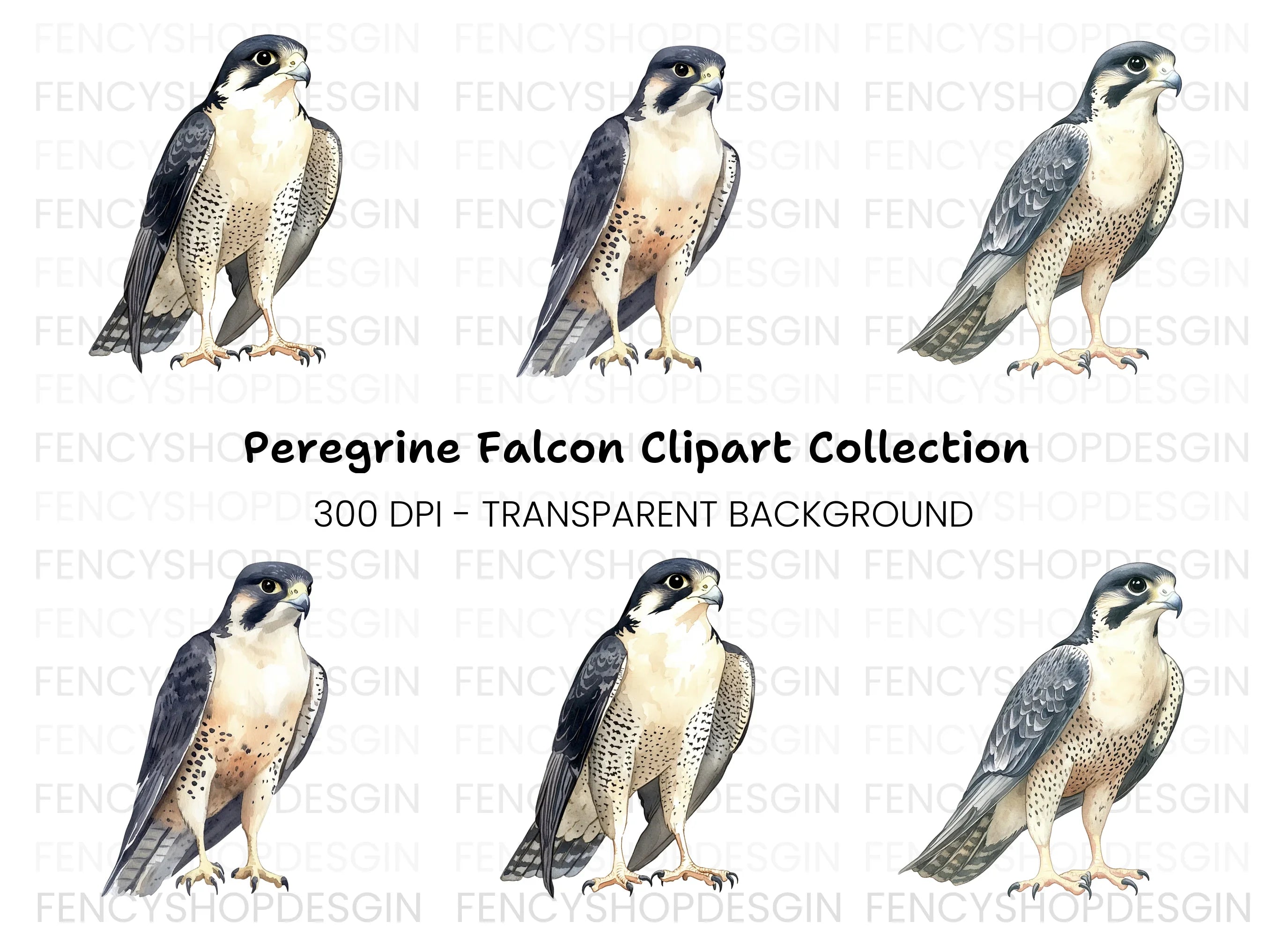 Majestic Peregrine Falcon Clipart Bundle