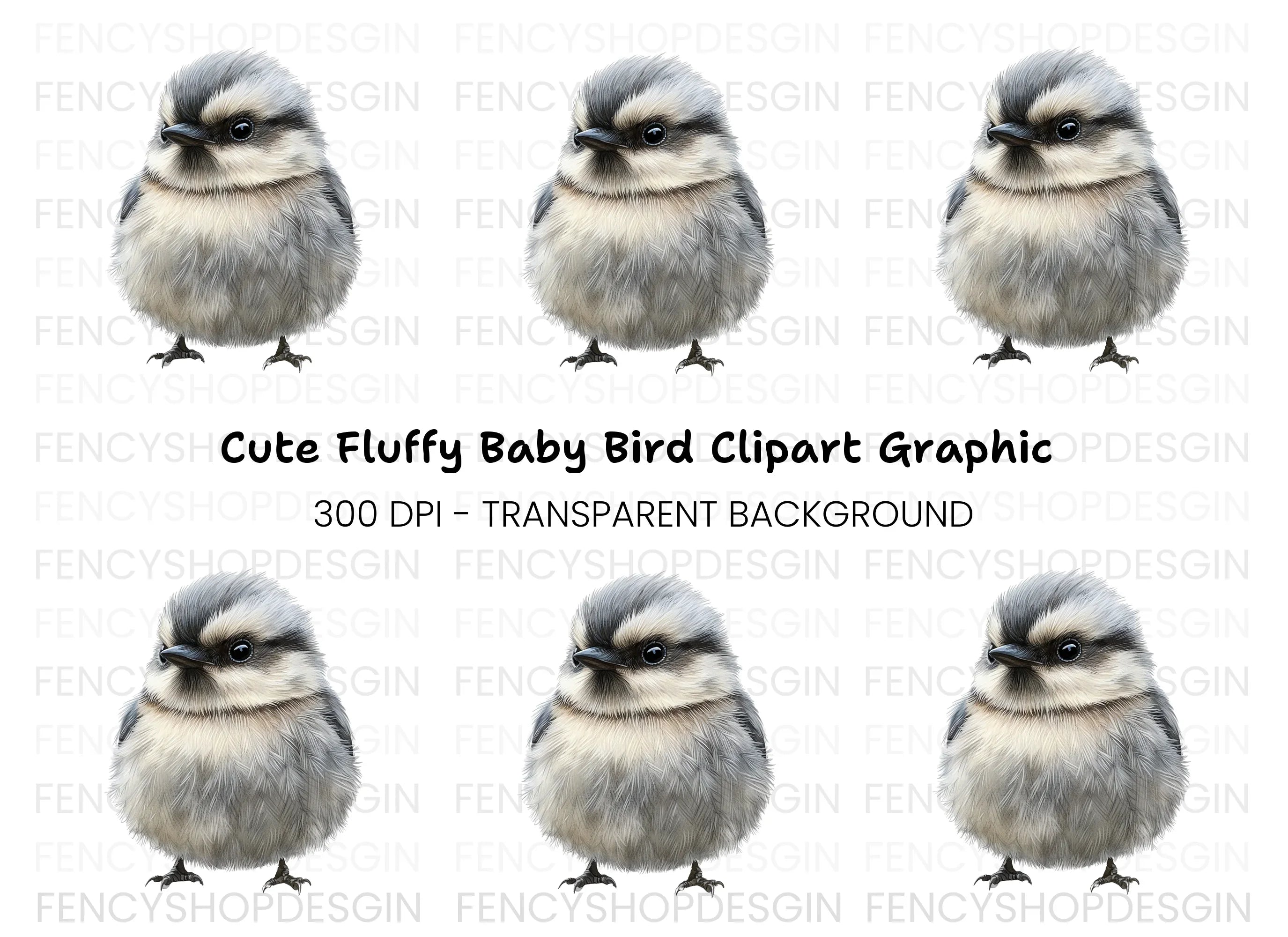 Cute Baby Bird Illustration Clipart Bundle