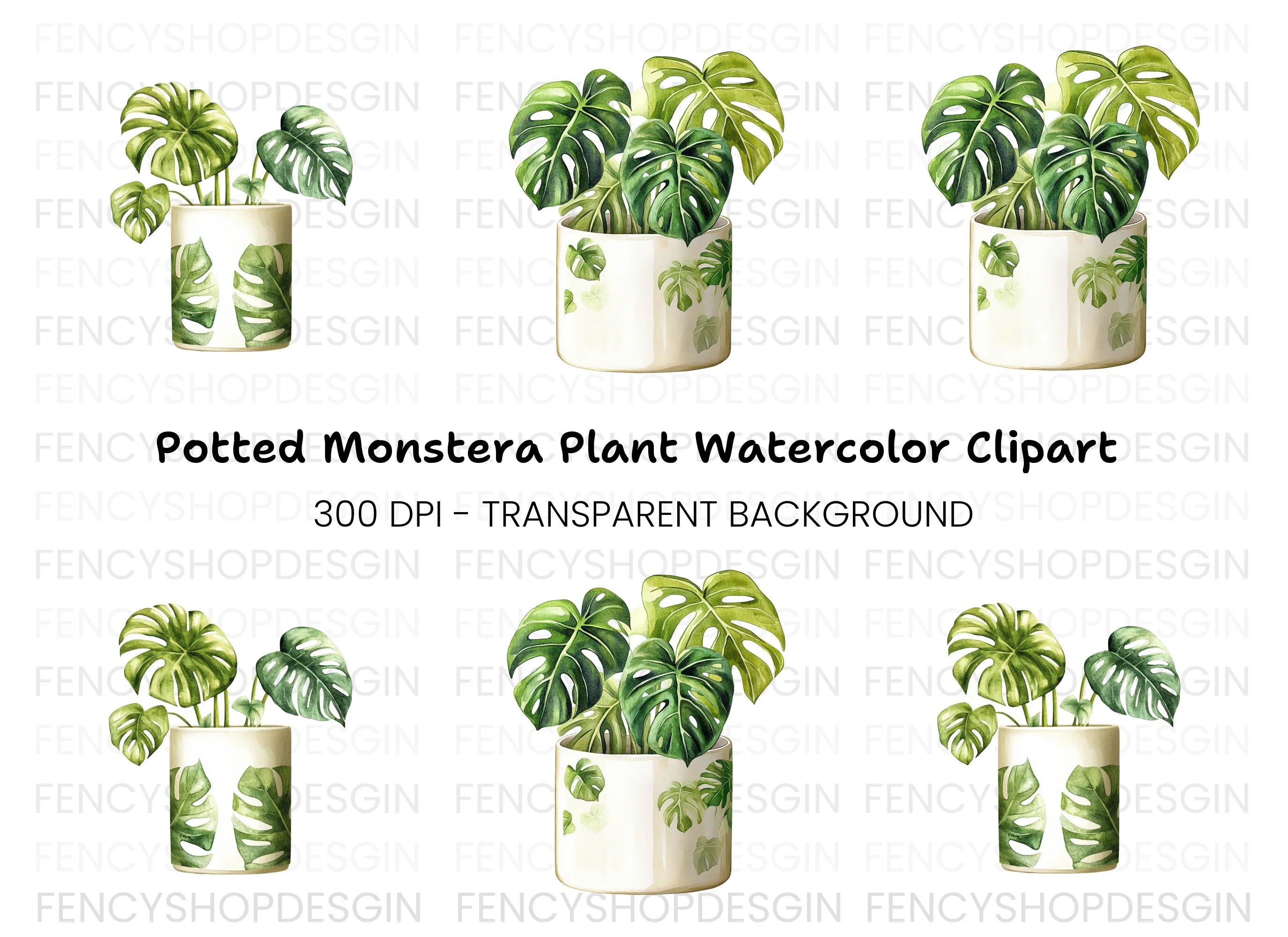 Monstera Plant Clipart Bundle