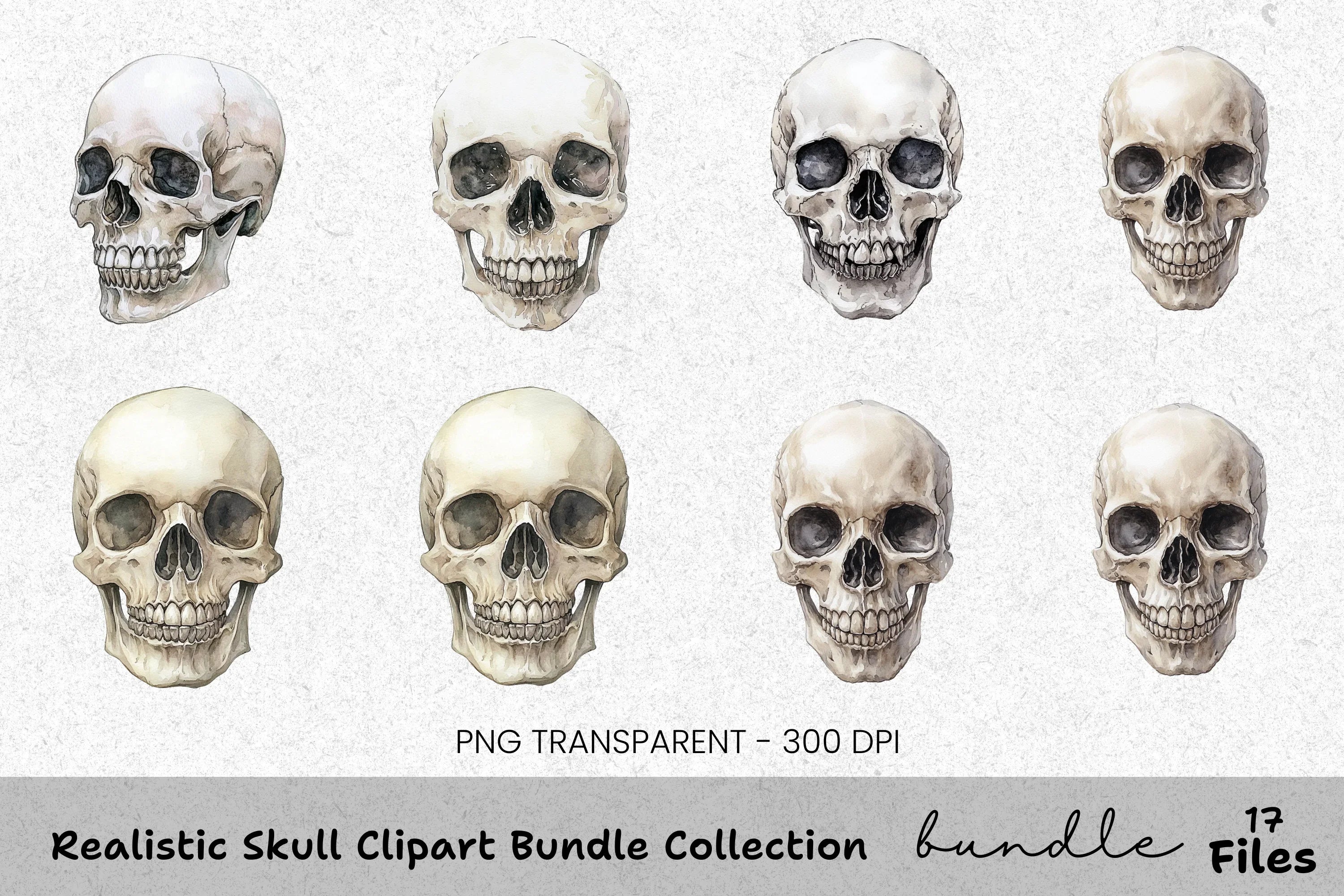Realistic Skull Clipart Bundle