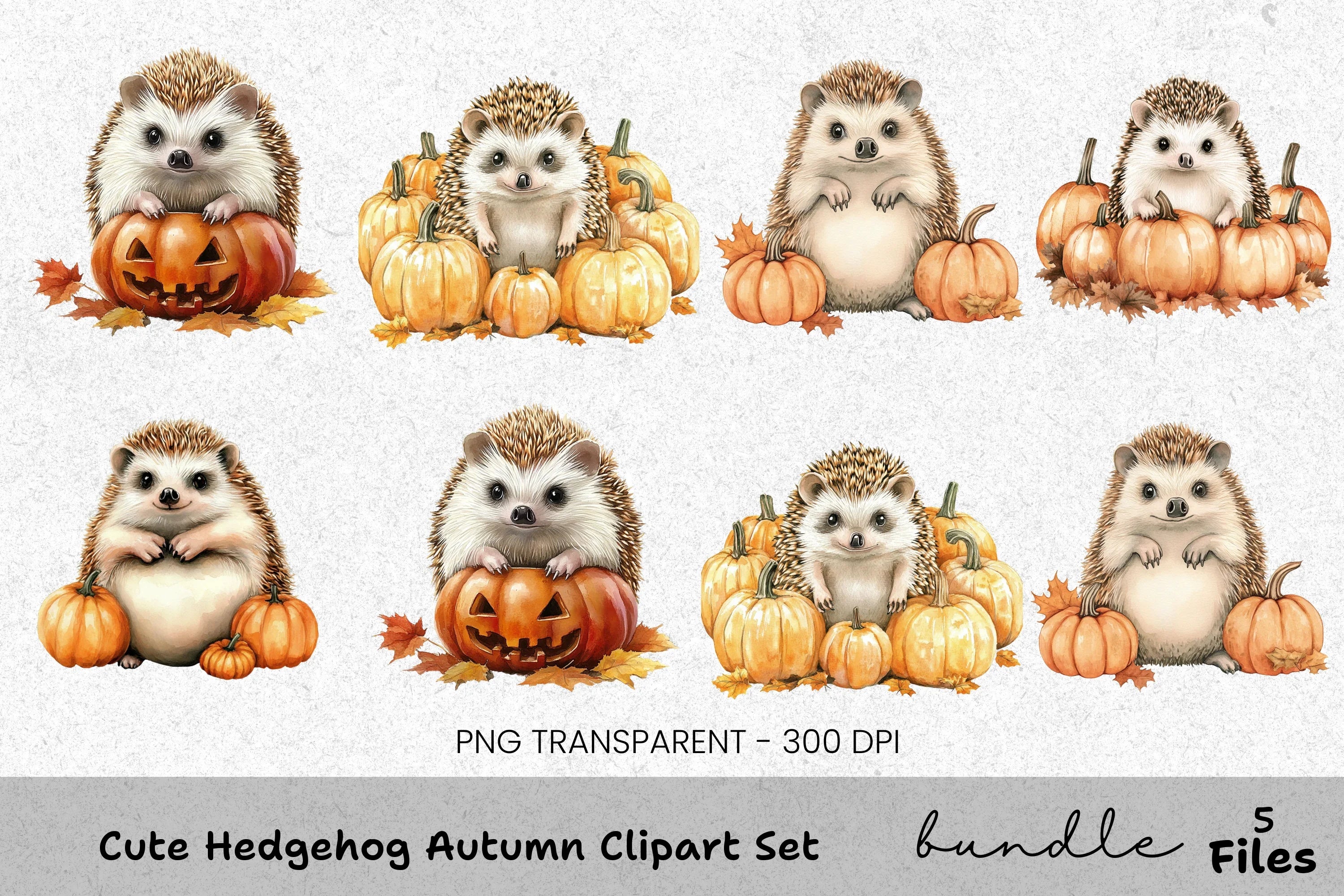 Cute Hedgehog Autumn Clipart Bundle