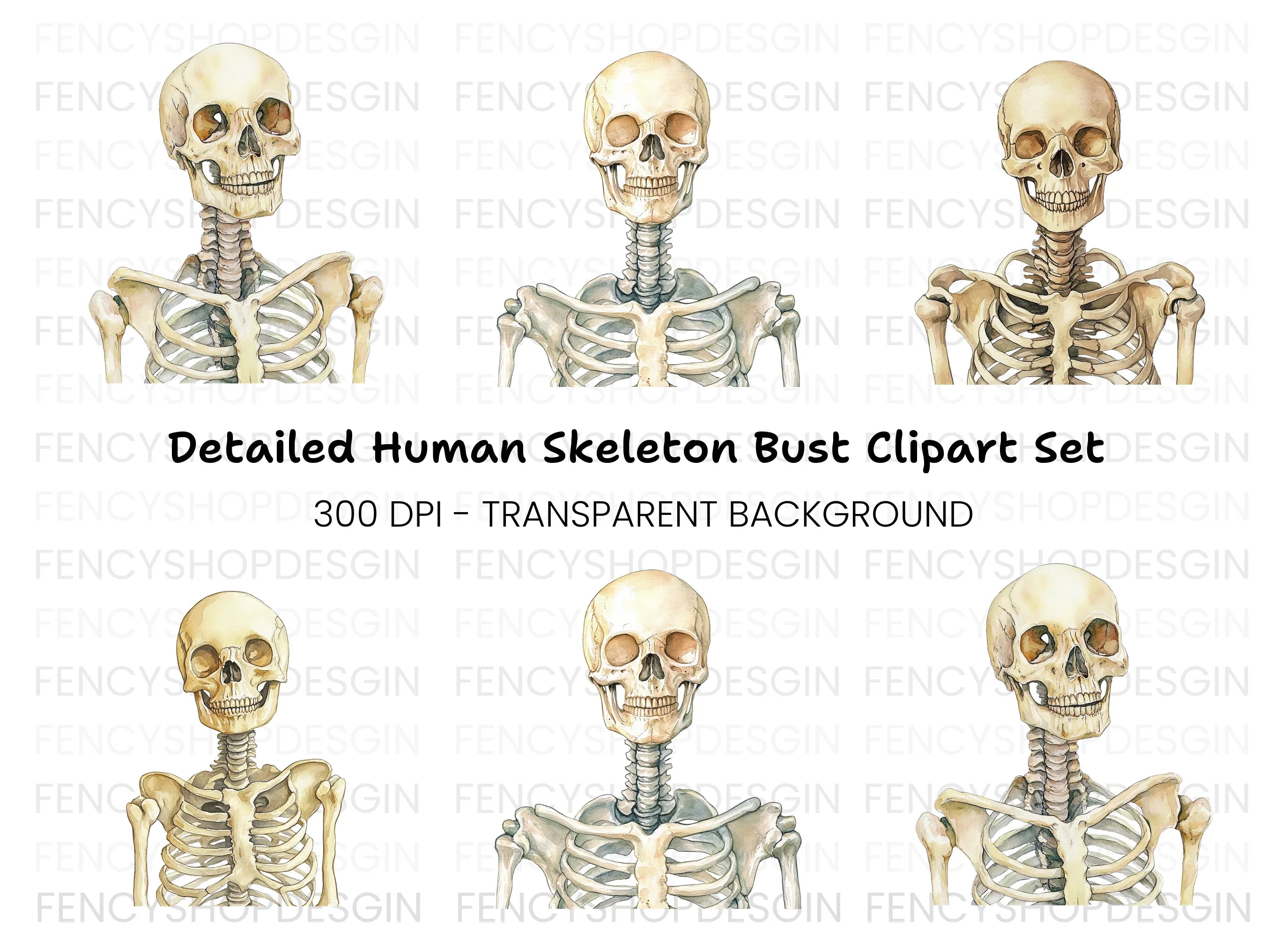 Human Skeleton Clipart Bundle