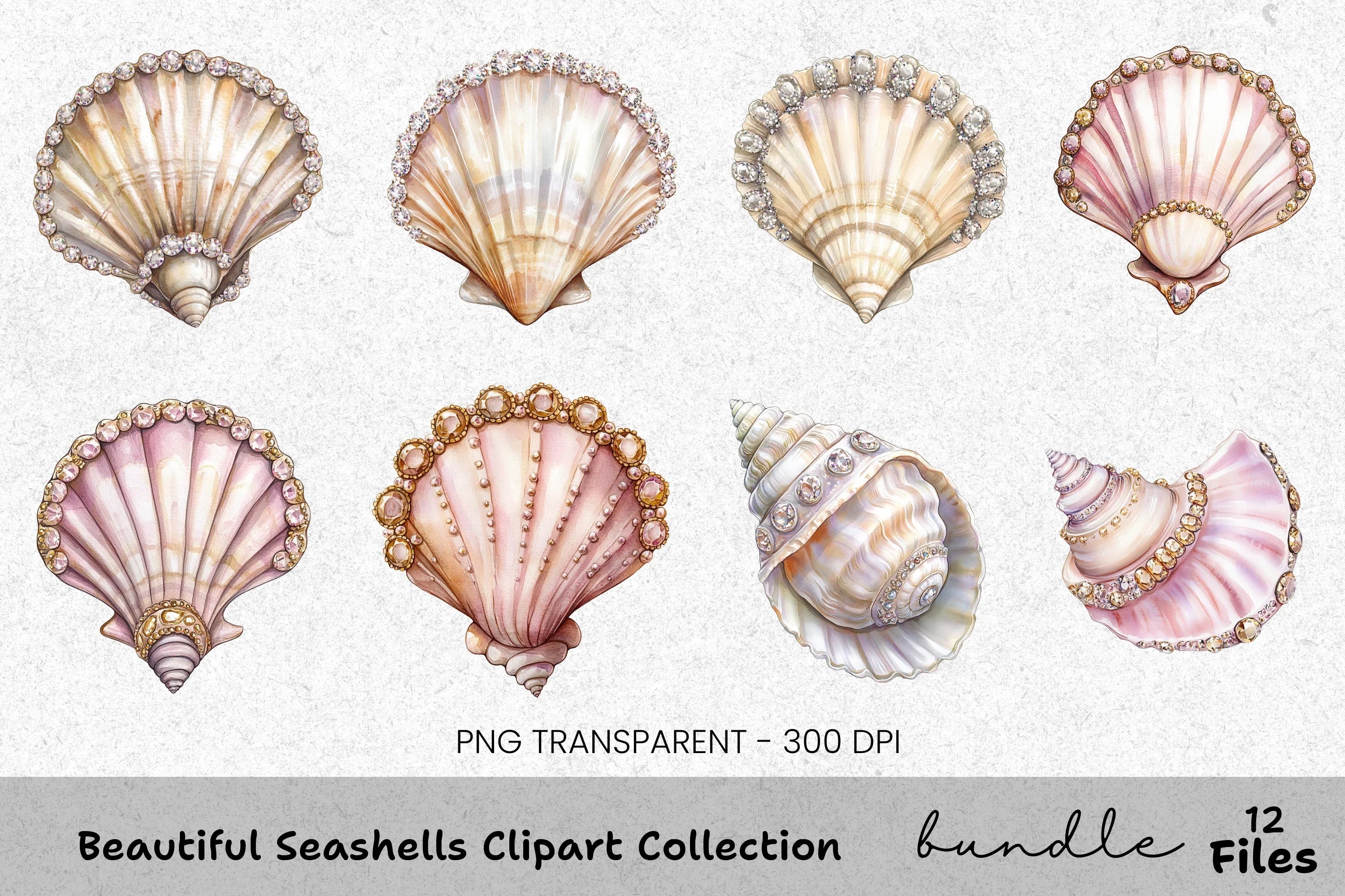 Beautiful Seashells Clipart Bundle