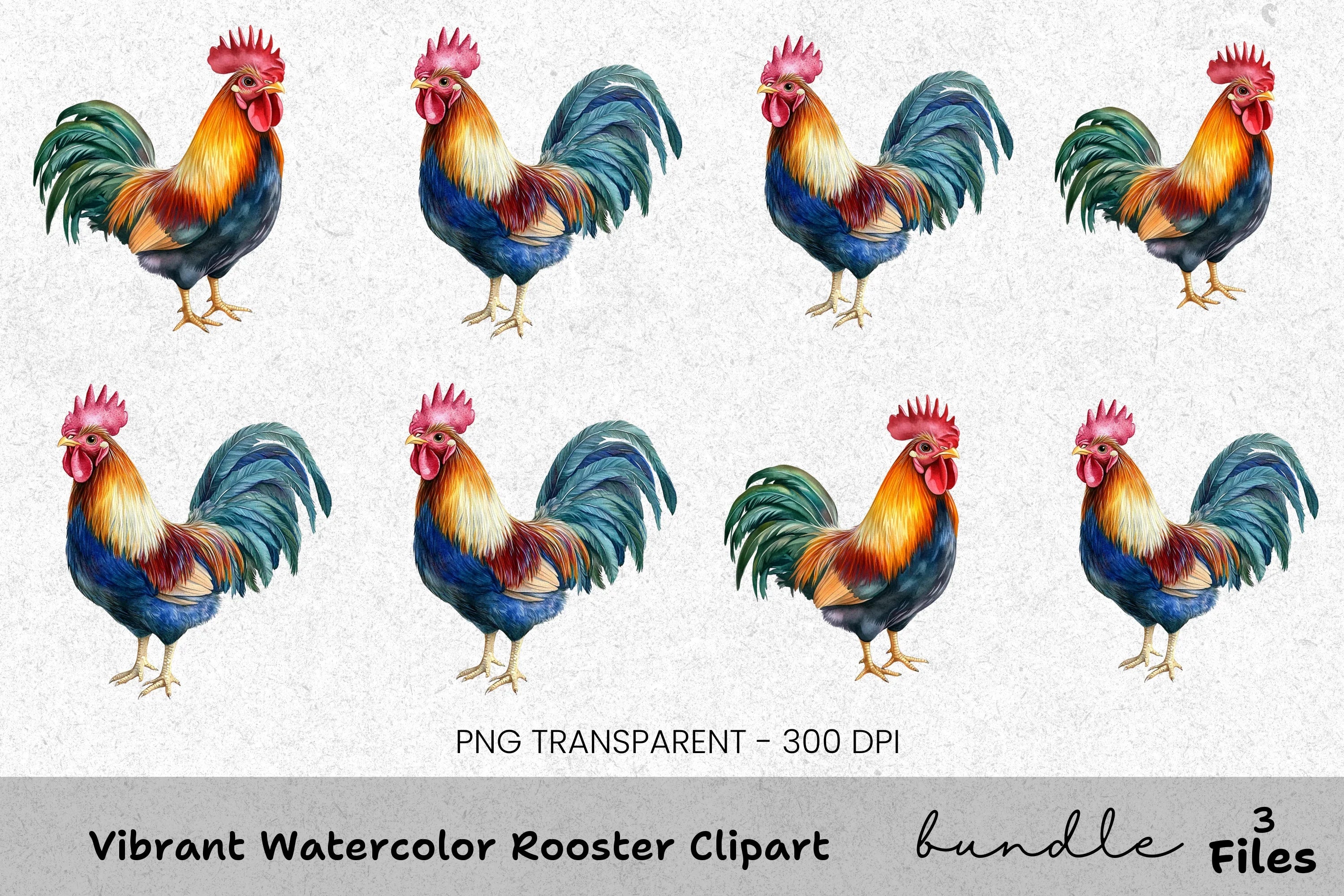 Vibrant Rooster Clipart Bundle