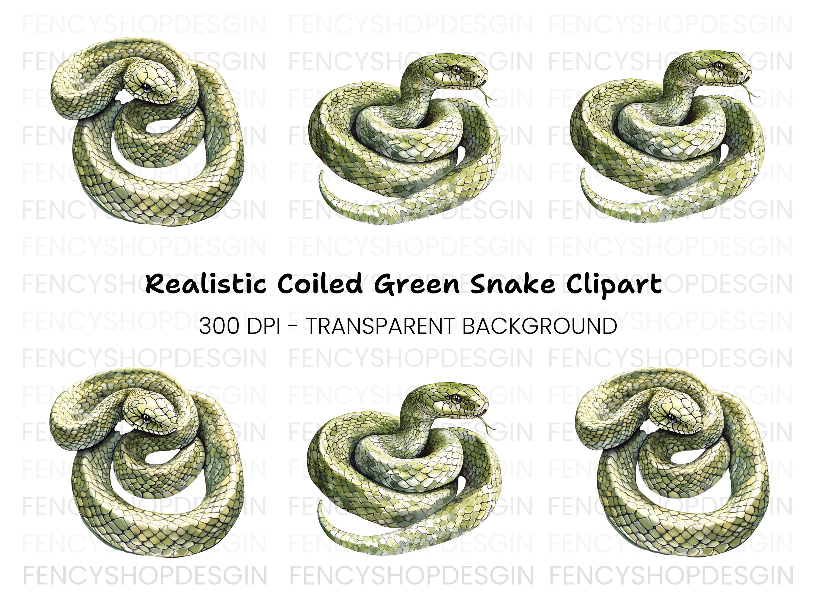 Realistic Green Snake Illustrations Clipart Bundle