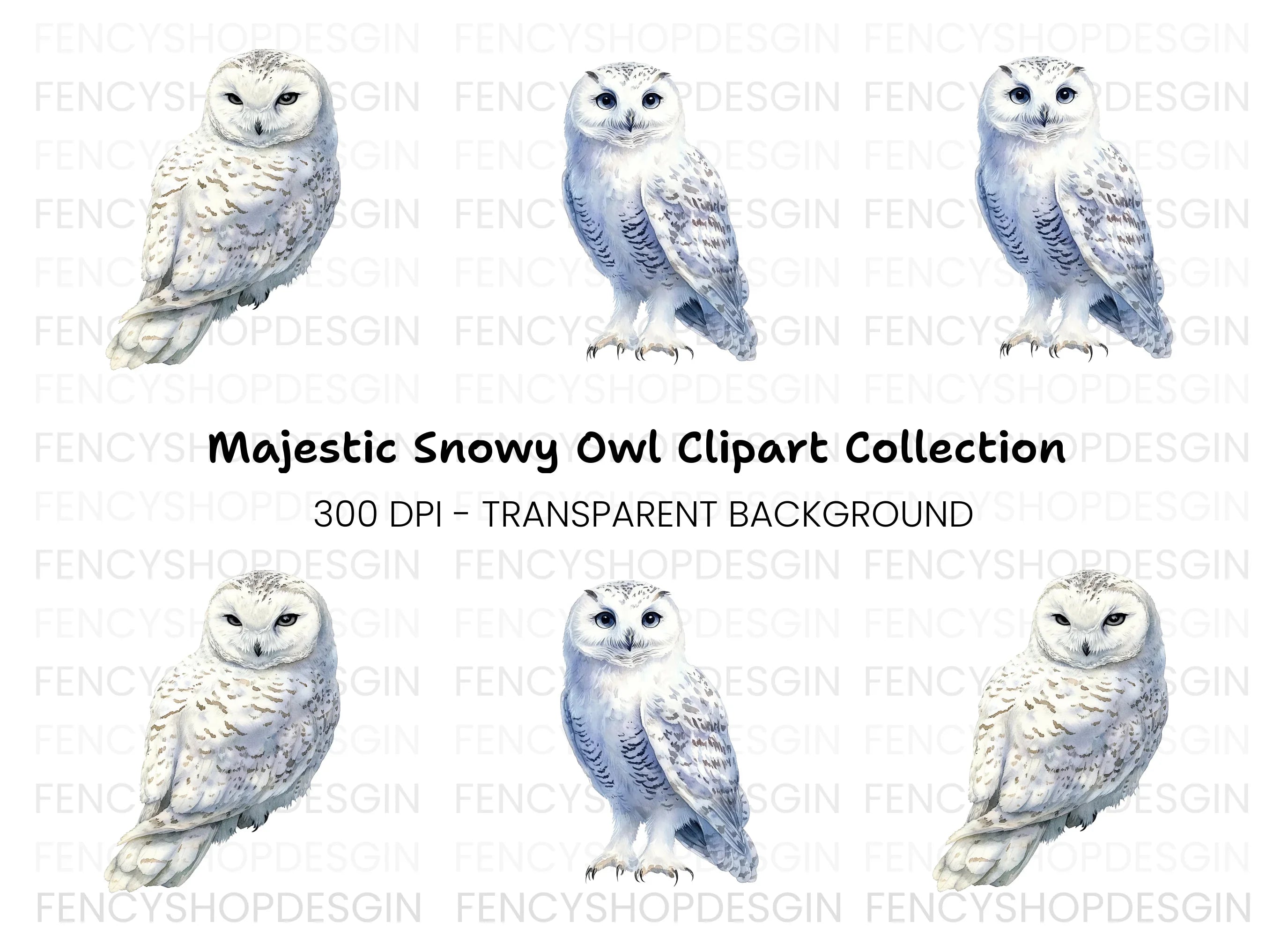 Snowy Owl Clipart Bundle