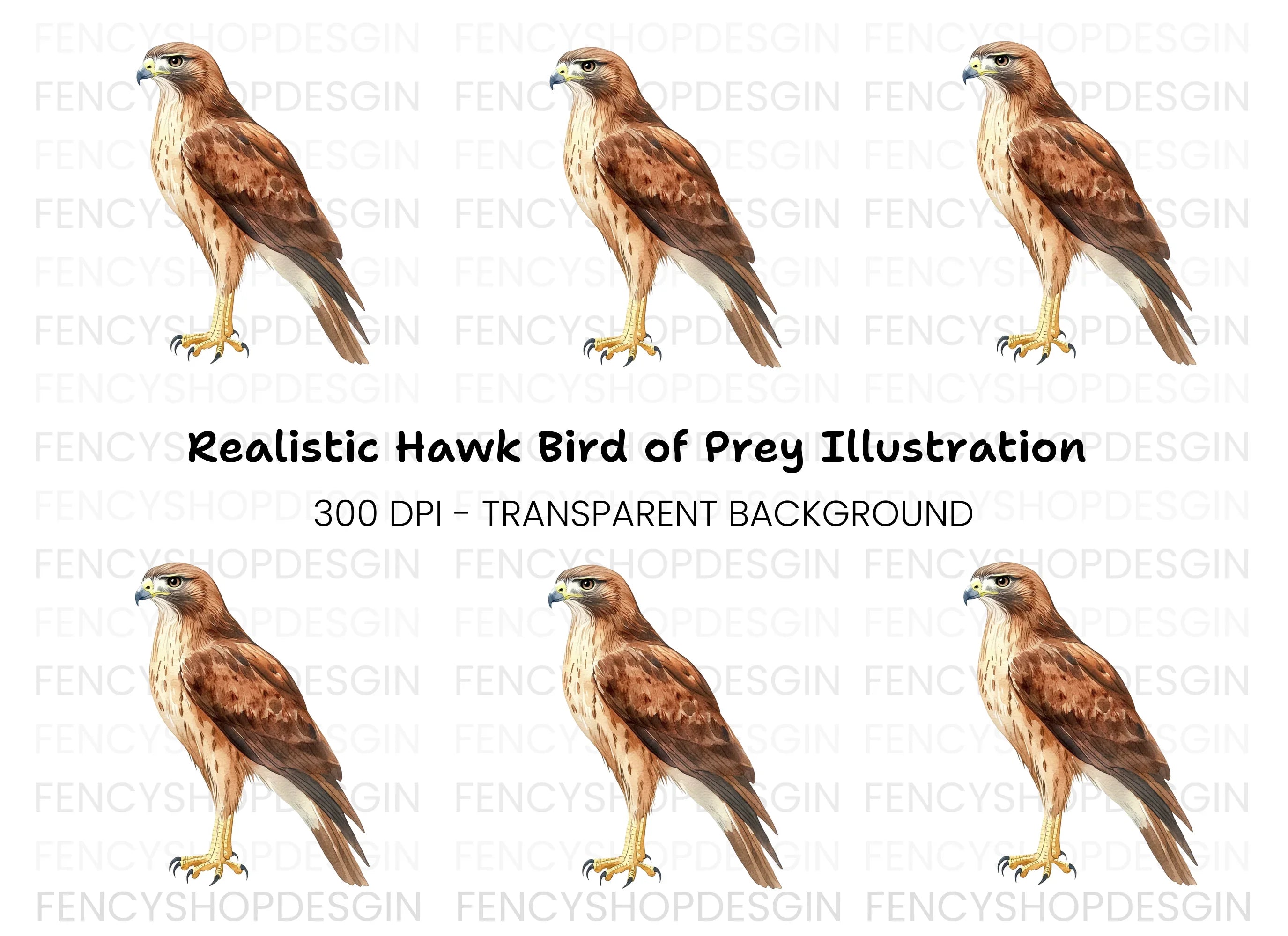 Majestic Brown Hawk Bird Clipart Bundle