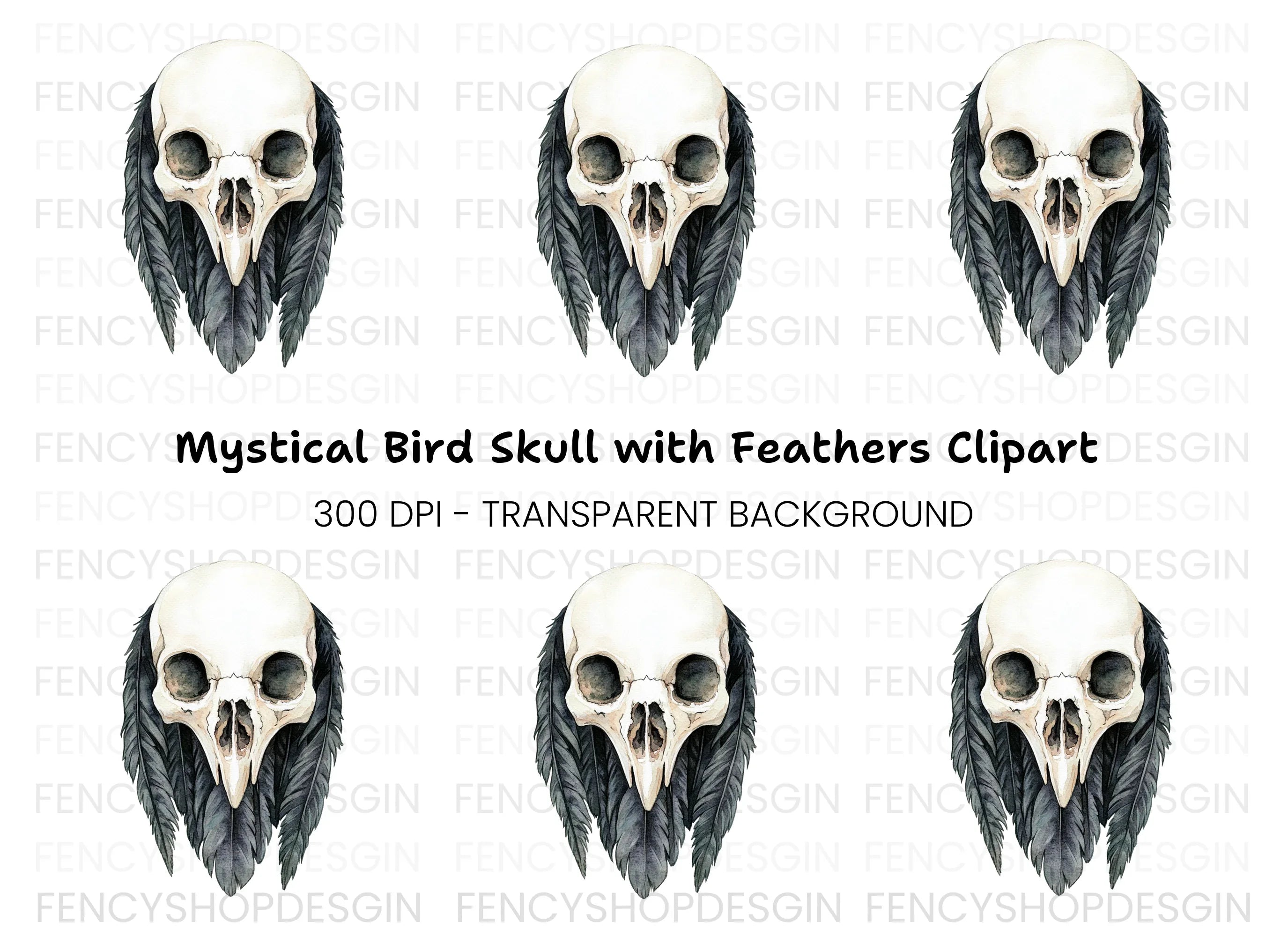 Bird Skull with Feathers Clipart Bundle