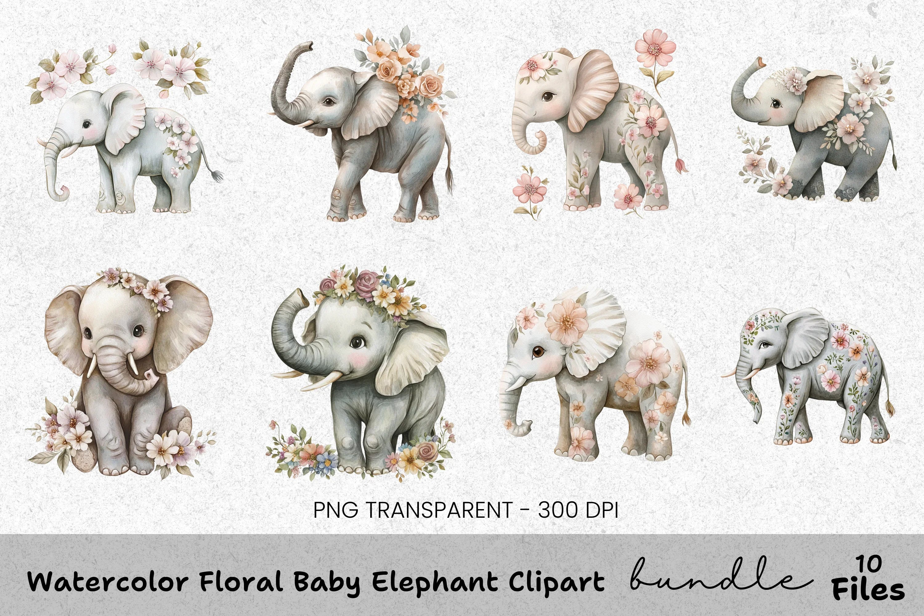 Floral Baby Elephant Clipart Bundle