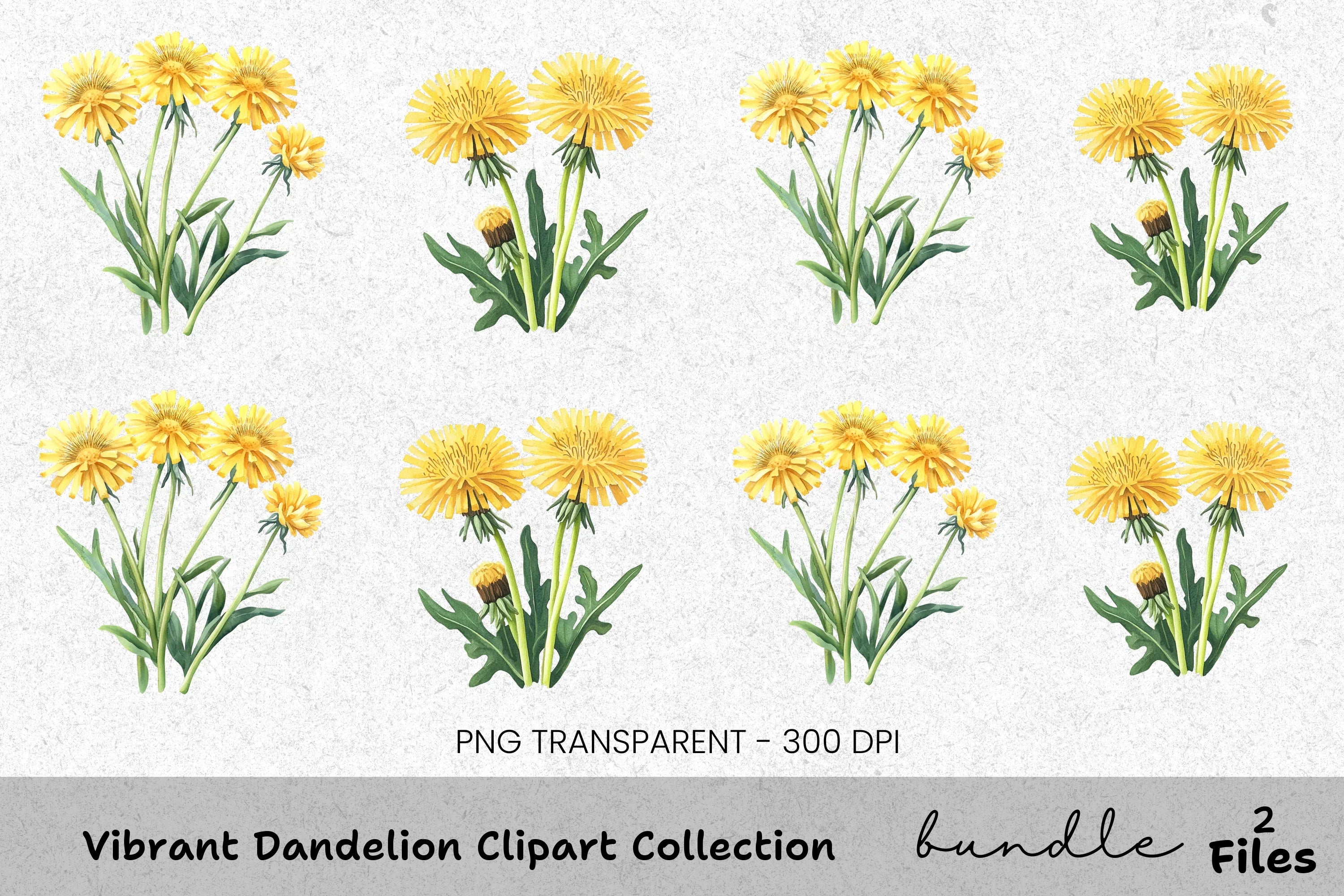 Vibrant Dandelion Clipart Bundle