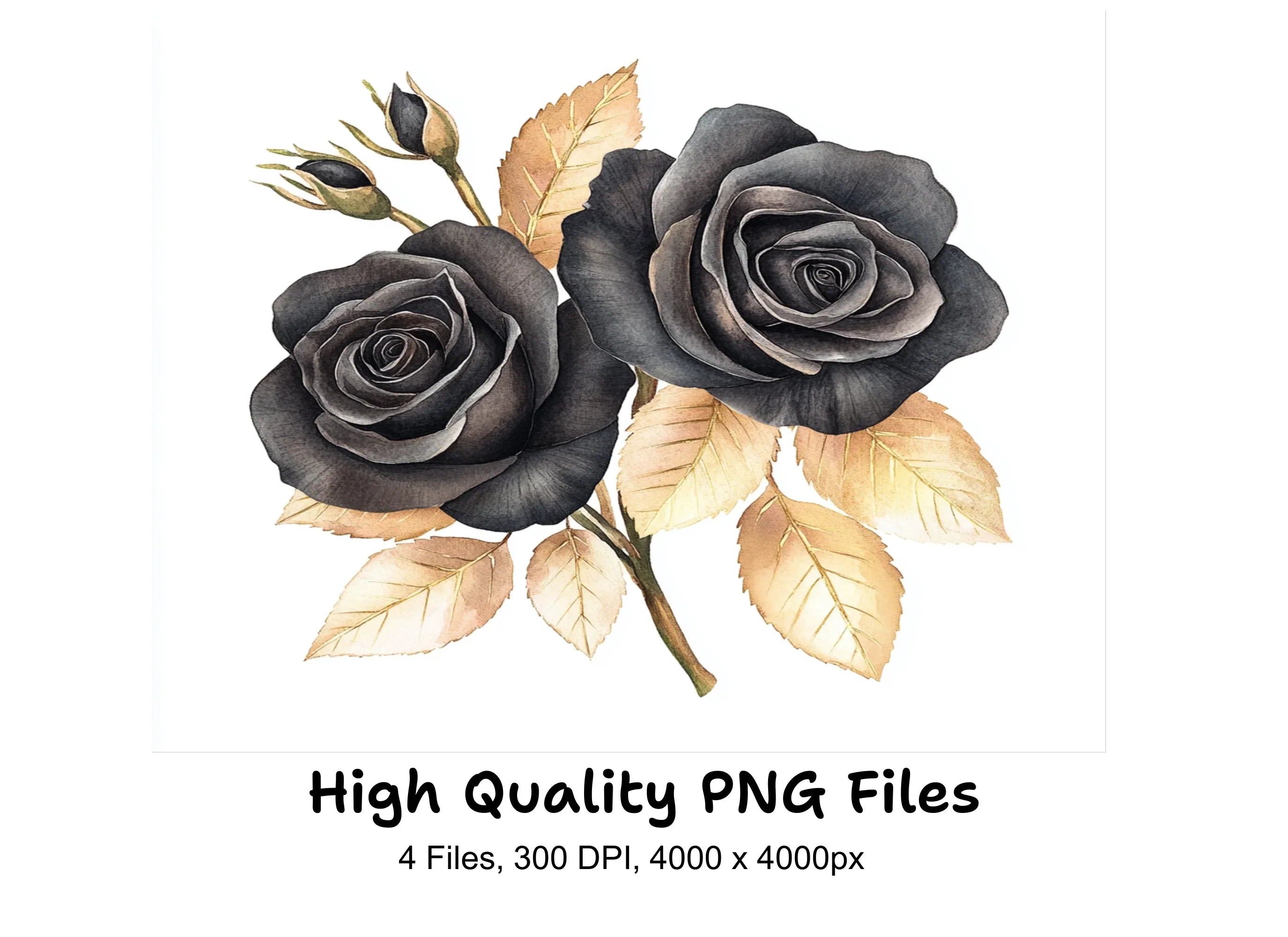 Elegant Black Roses with Gold Leaves Clipart Bundle