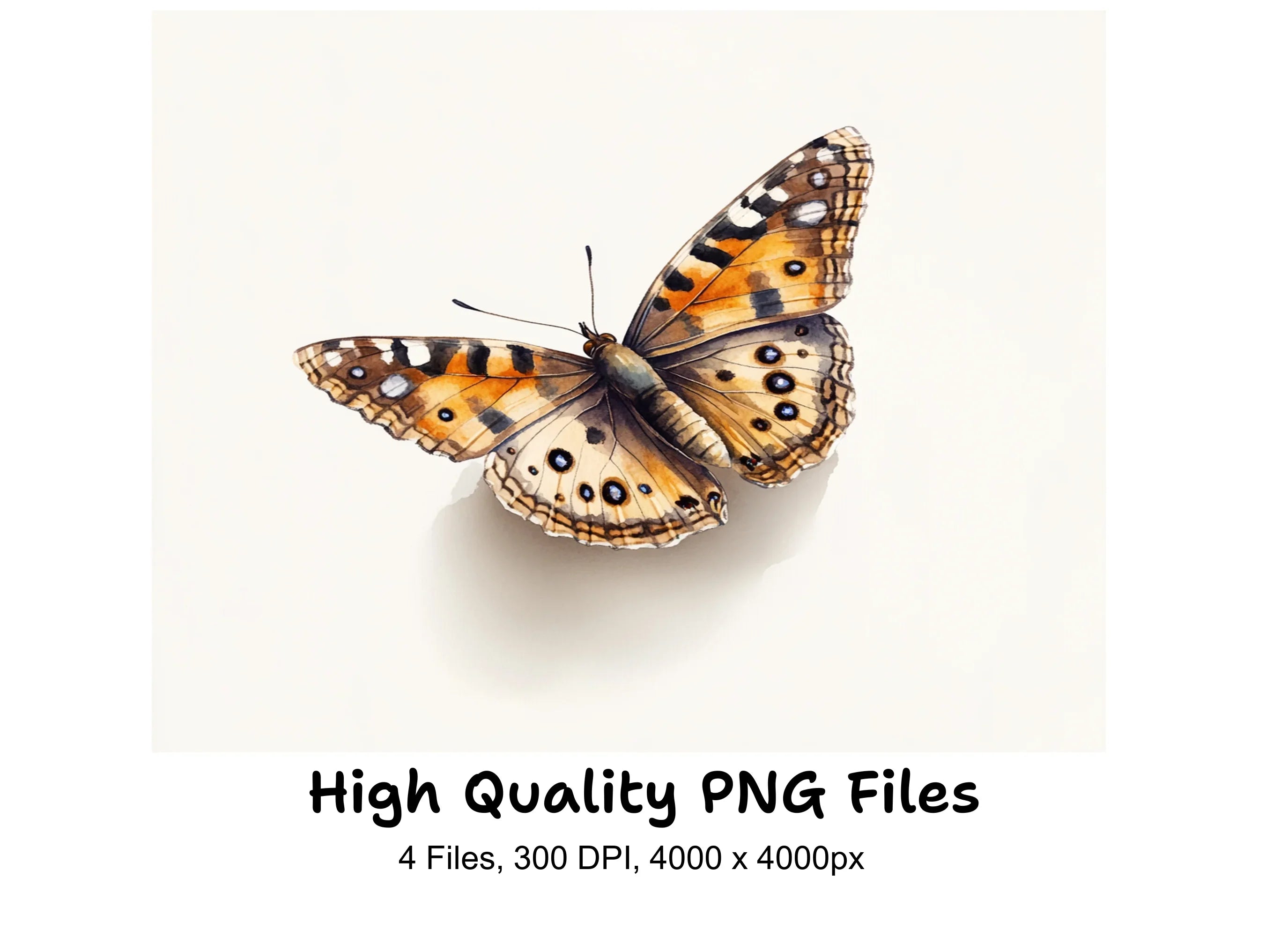 Painted Lady Butterfly Clipart Bundle
