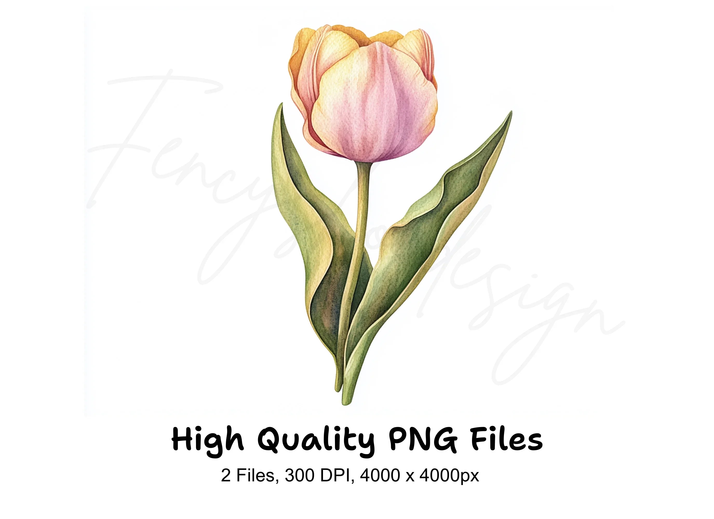 Orange Tulip Flower Clipart Bundle