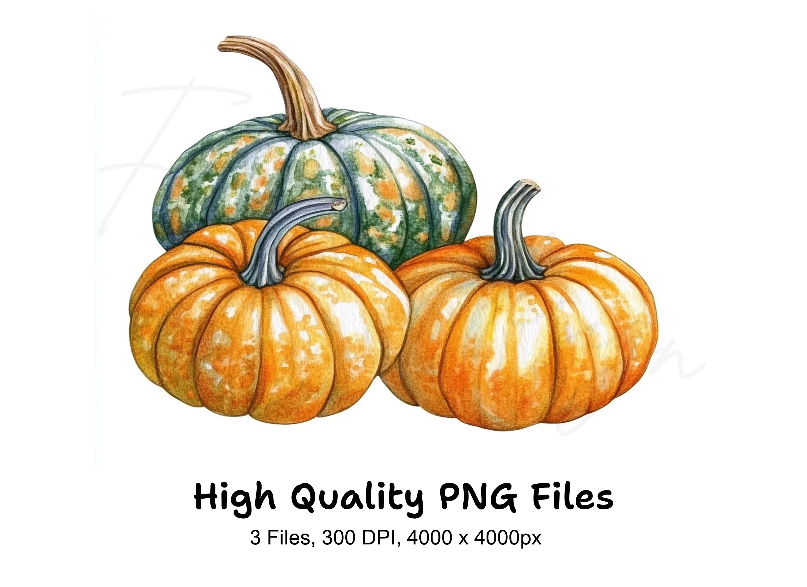 Autumn Pumpkin Clipart Bundle