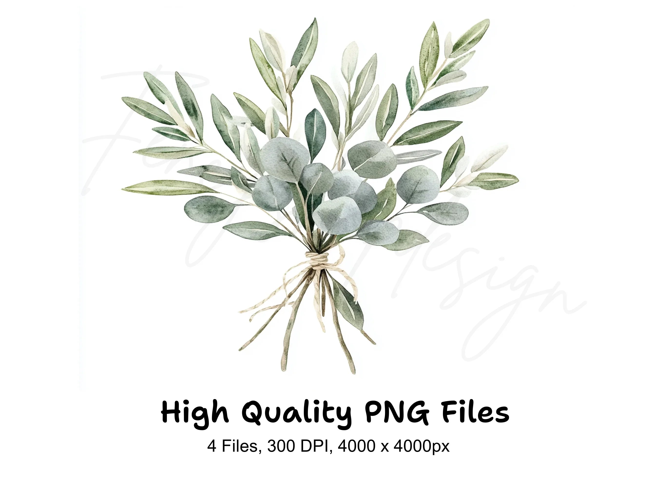 Eucalyptus Olive Bouquets Clipart Bundle