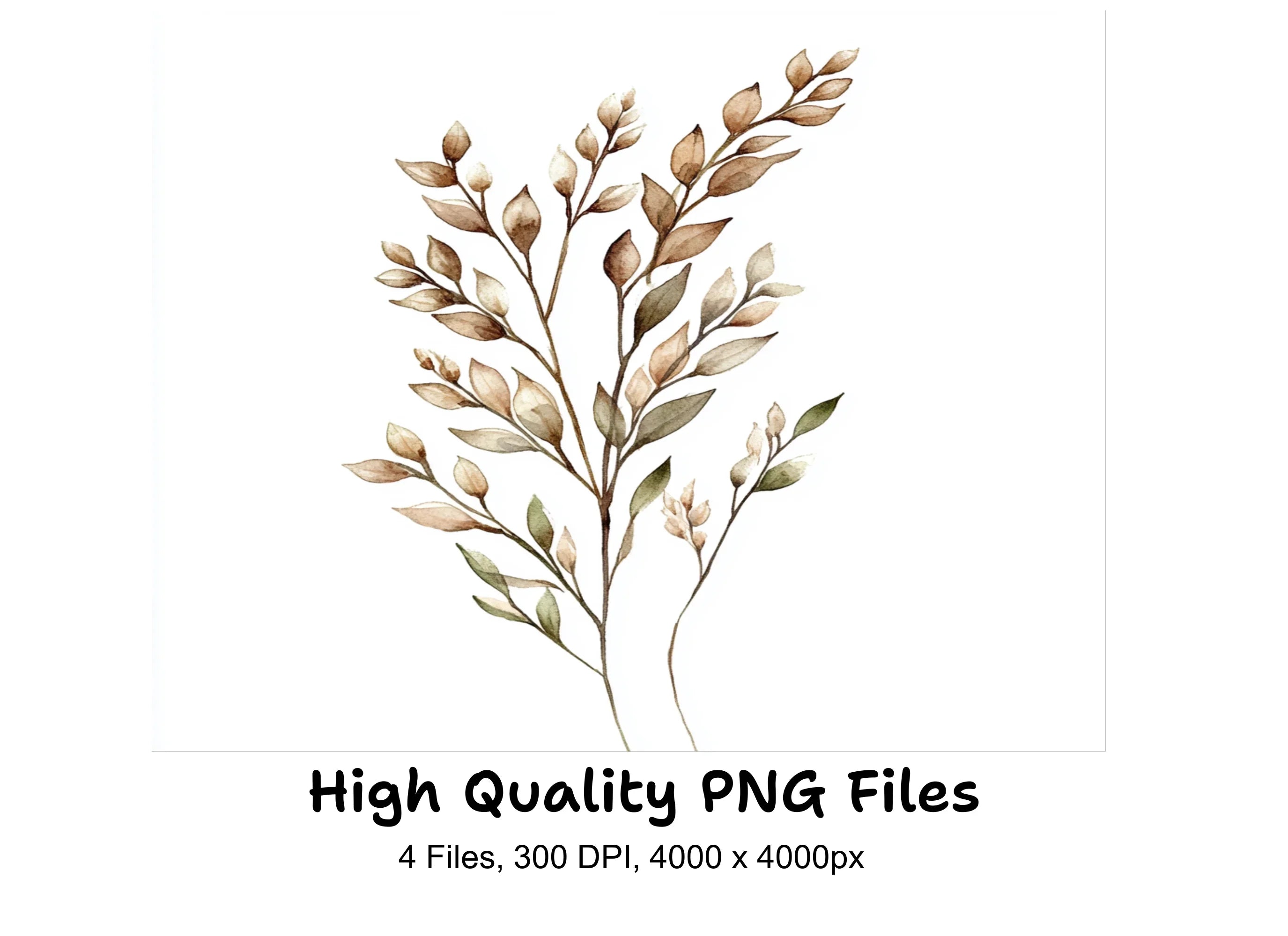 Botanical Clipart Bundle