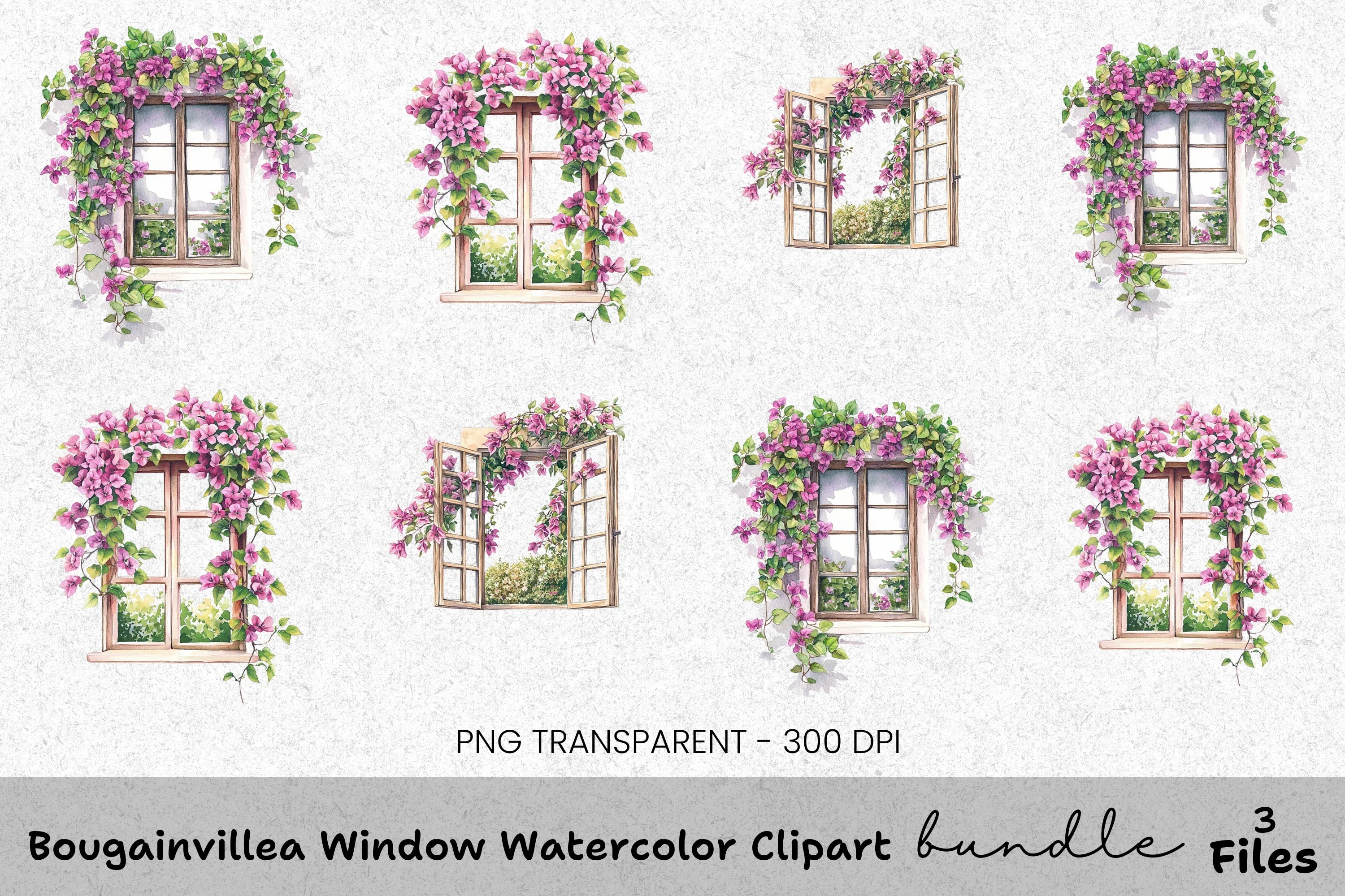 Bougainvillea Window Clipart Bundle