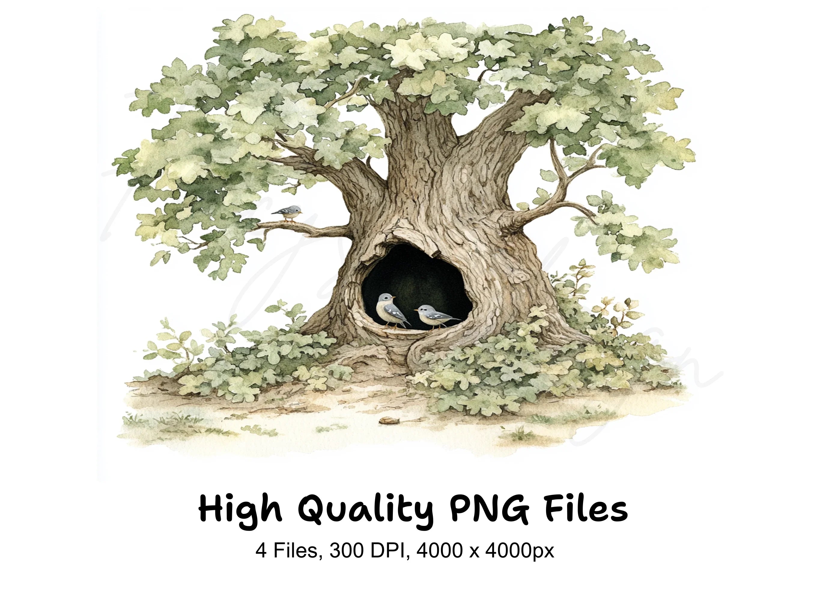 Hollow Tree with Birds Clipart Bundle