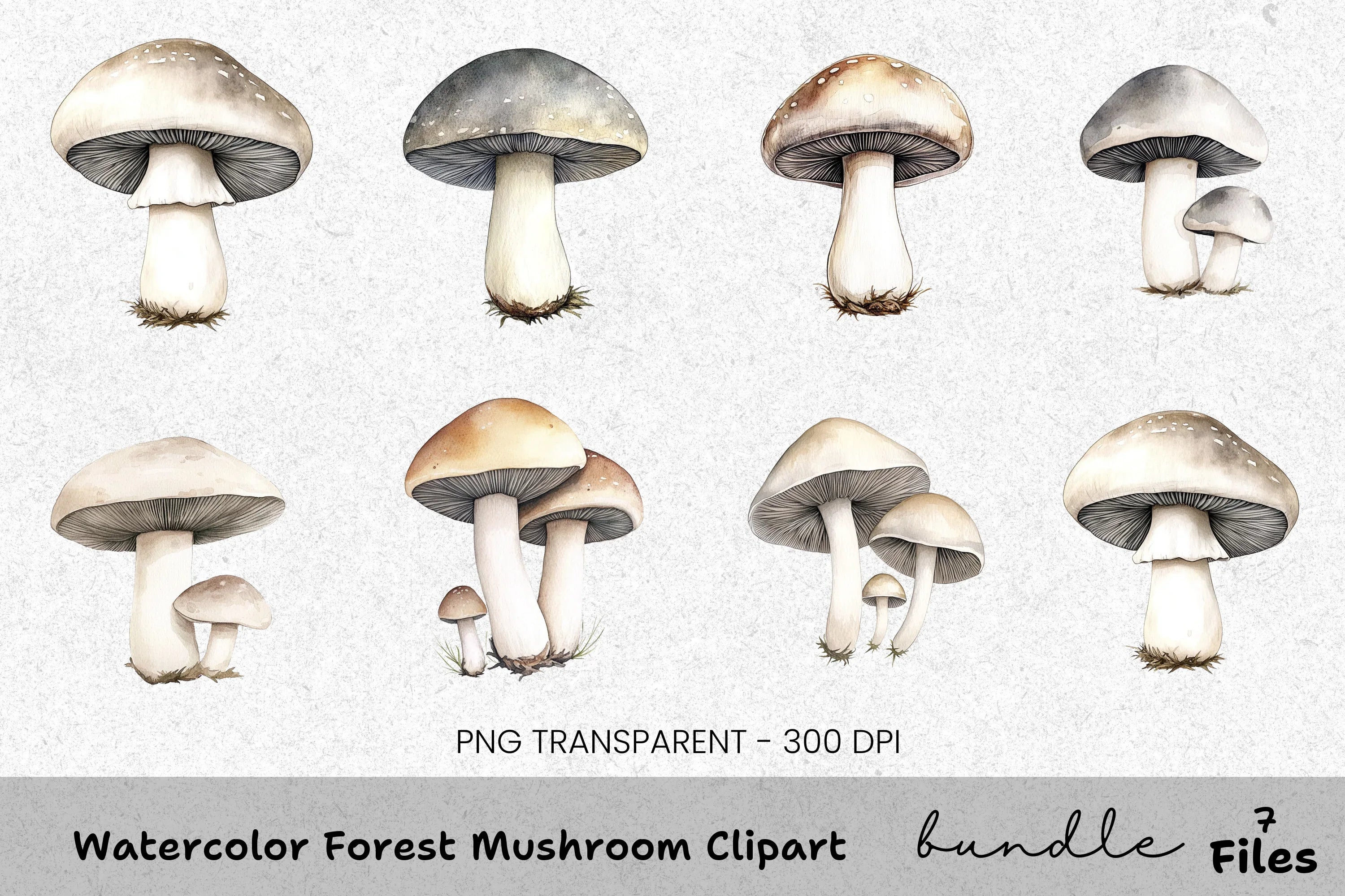 Forest Mushroom Clipart Bundle