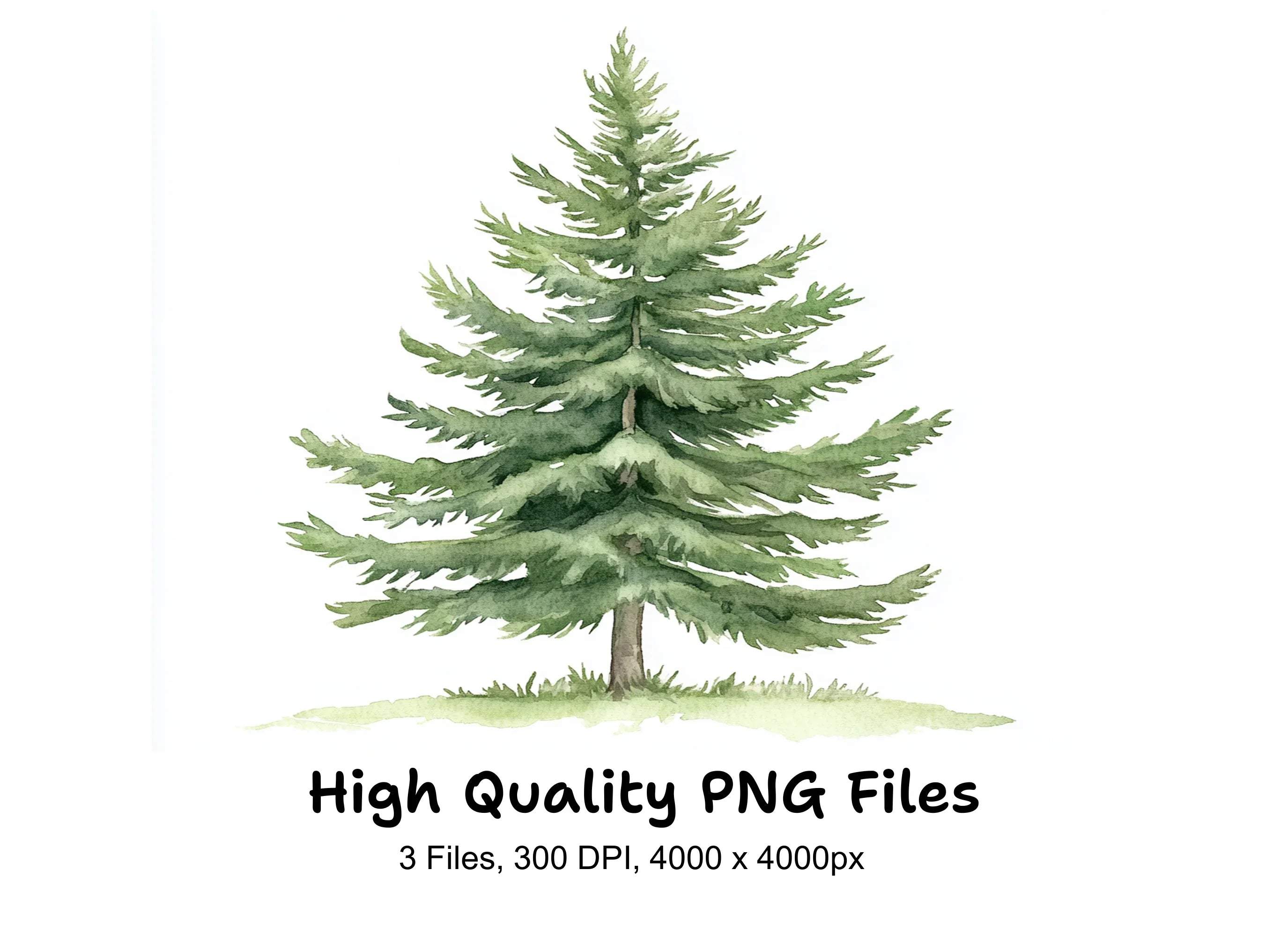 Pine Tree Clipart Bundle