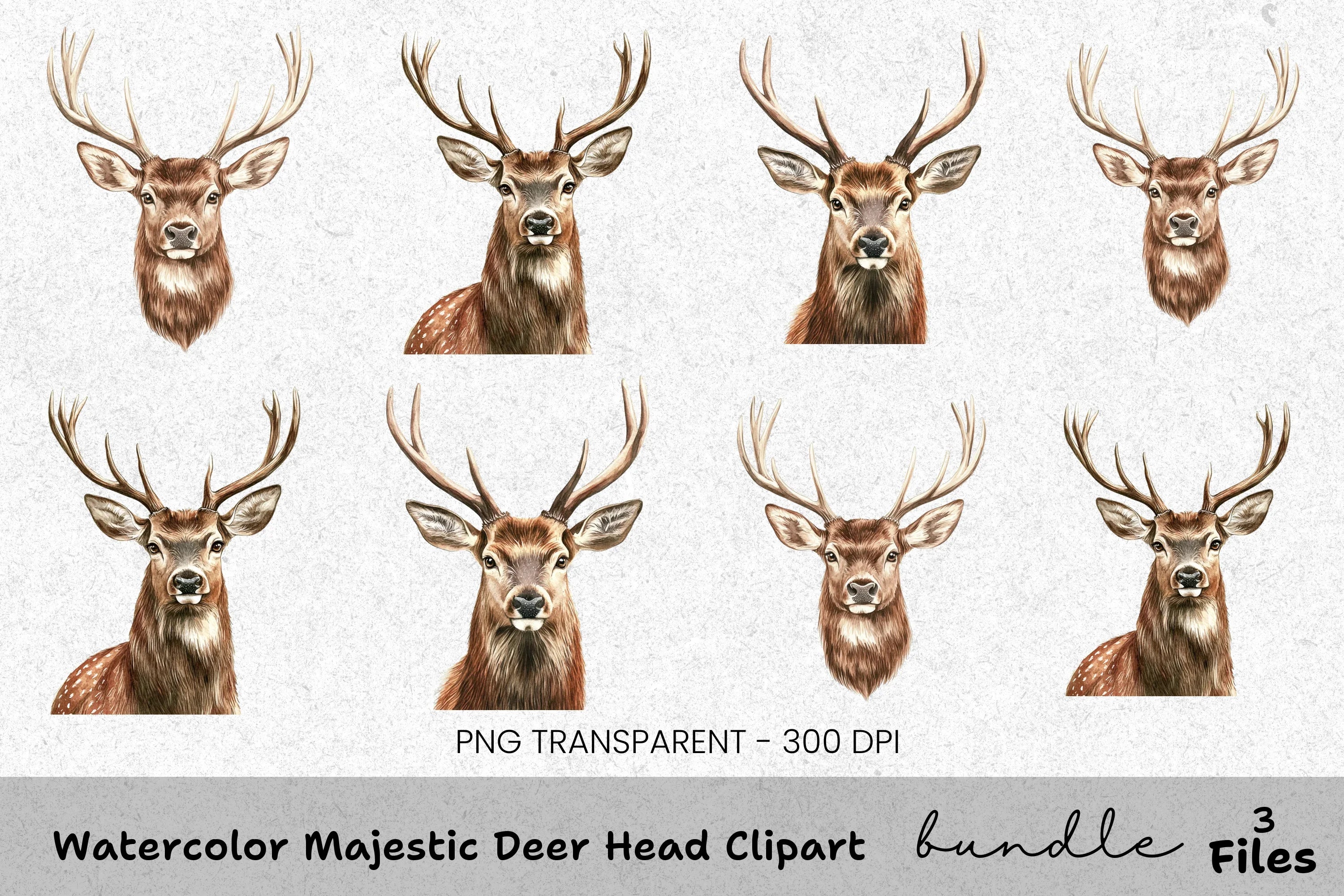 Majestic Deer Head Clipart Bundle