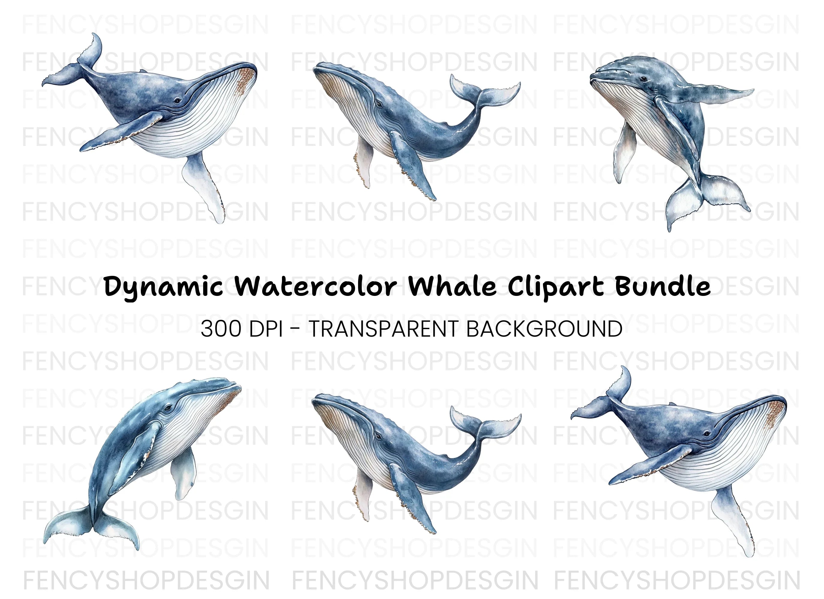 Humpback Whale Clipart Bundle