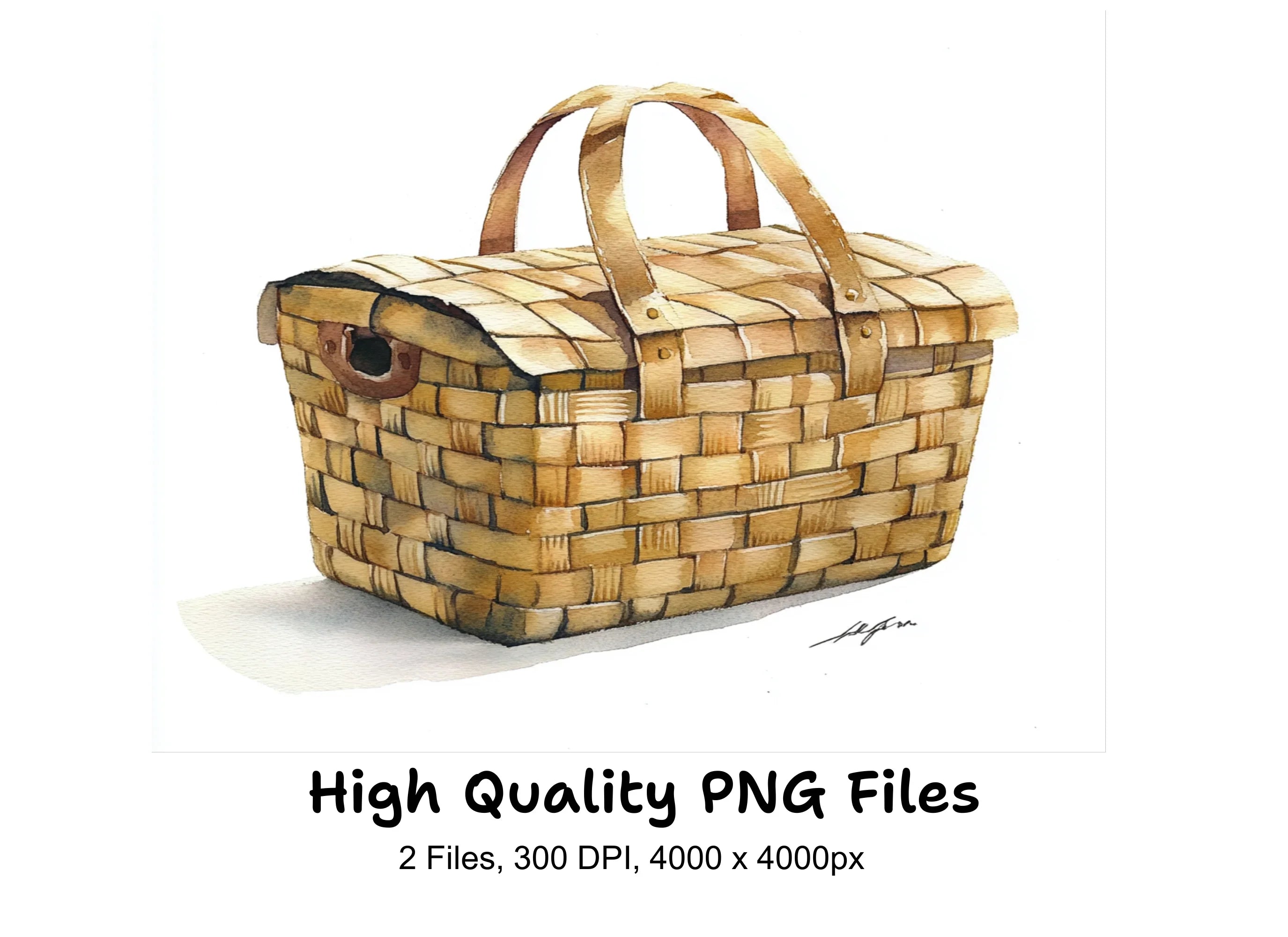 Woven Basket Illustration Clipart Bundle