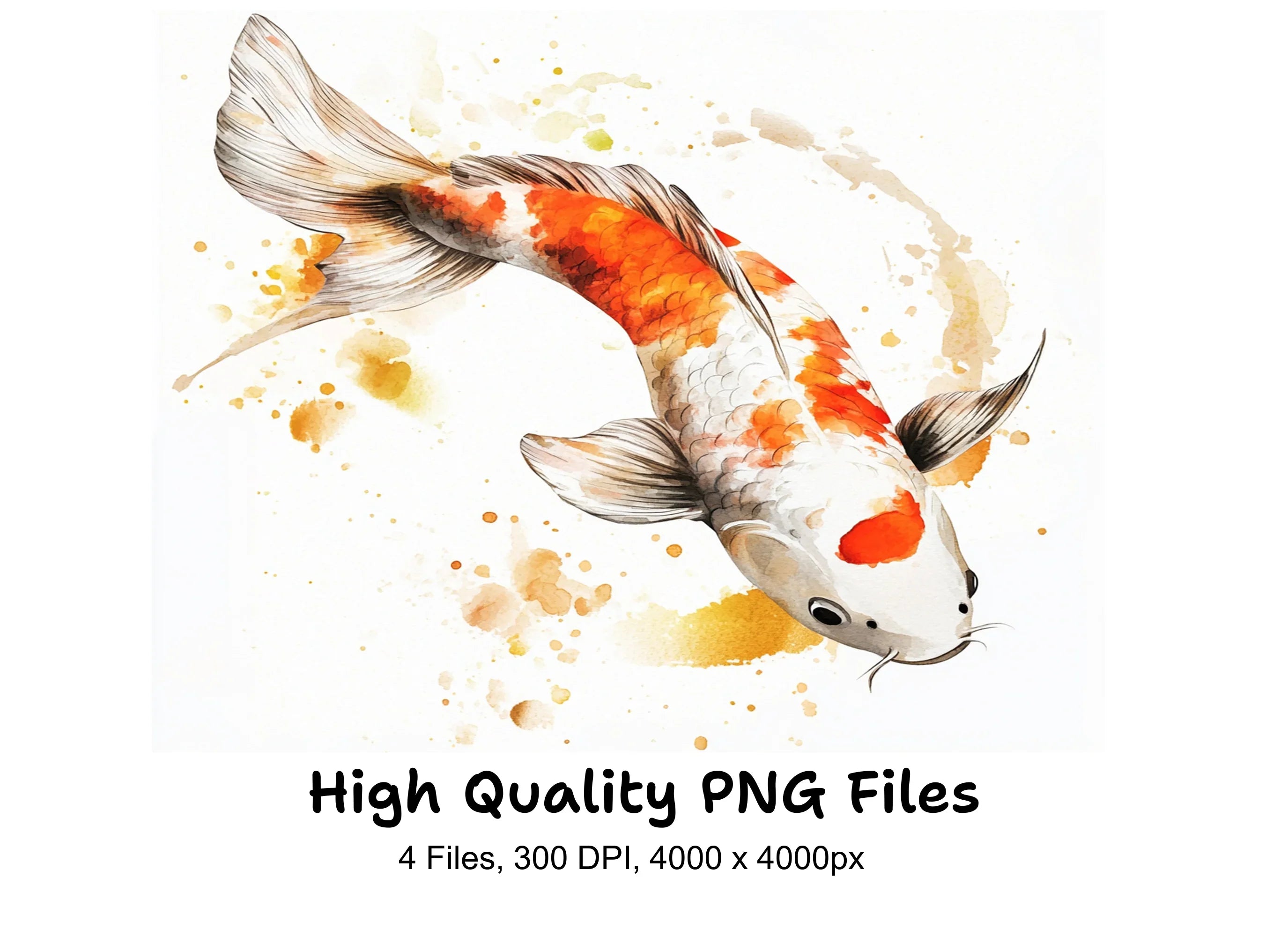 Koi Fish Clipart Bundle