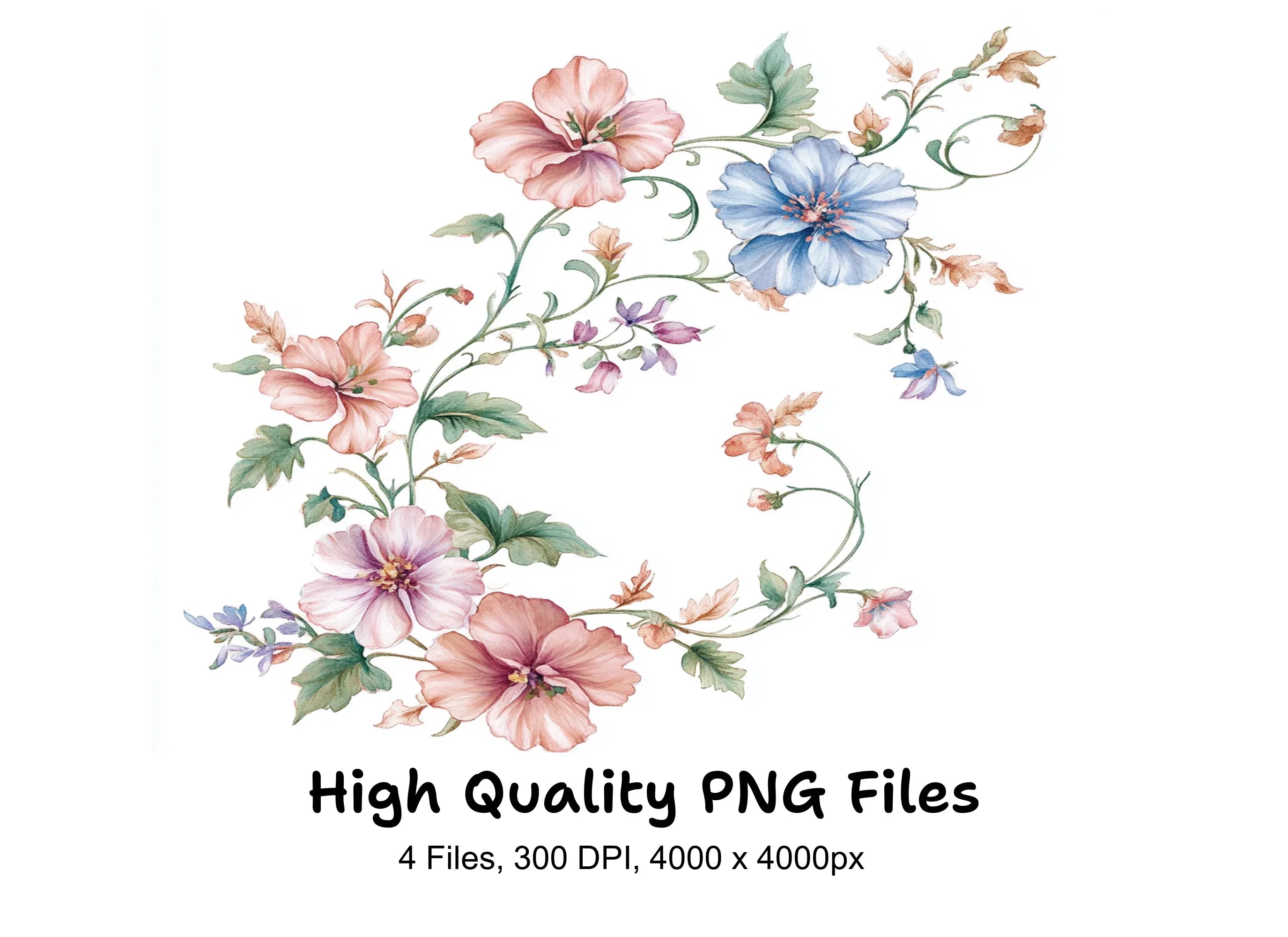 Soft Pink Rose Vines Clipart Bundle