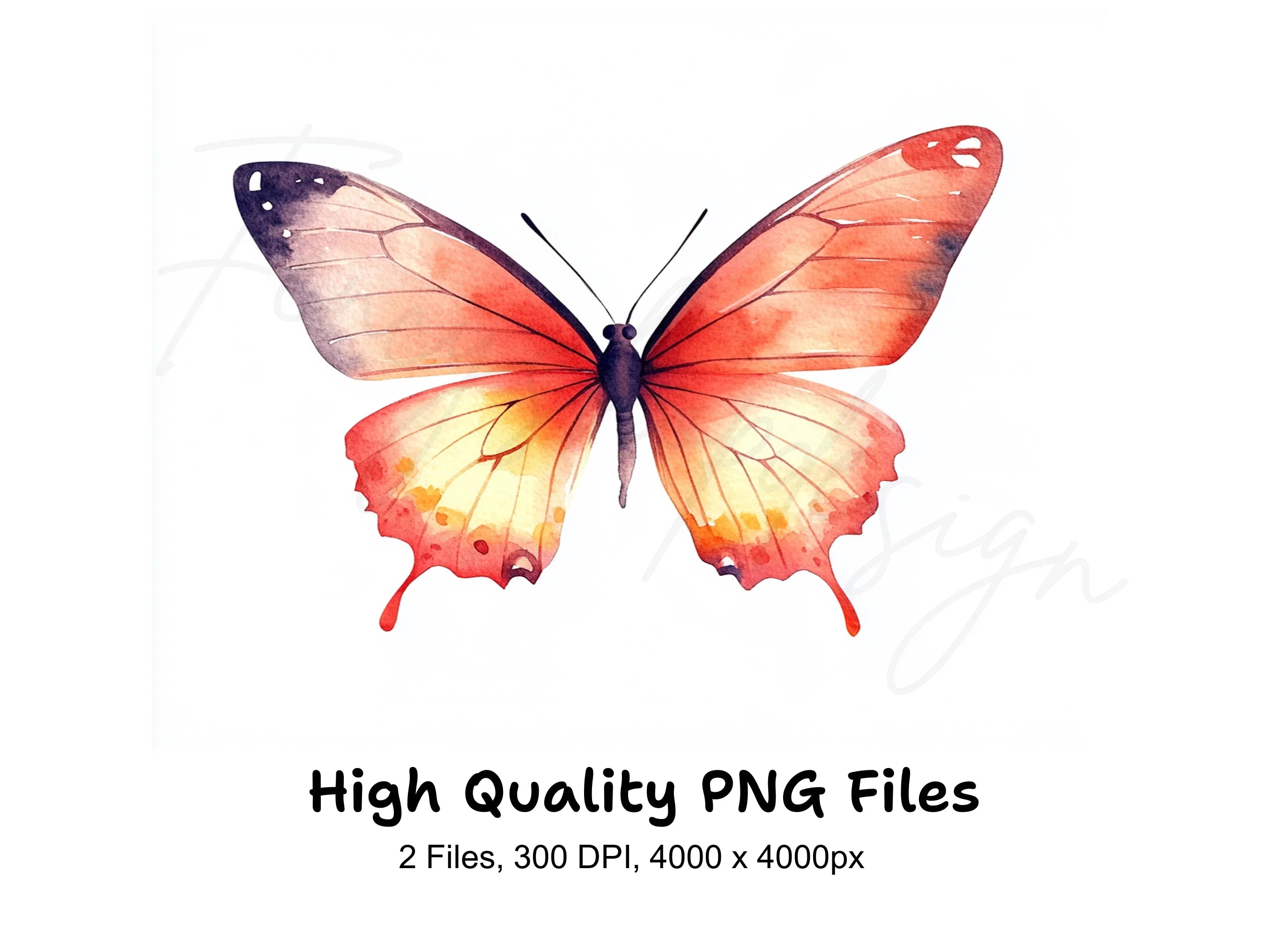 Vibrant Butterfly Clipart Bundle