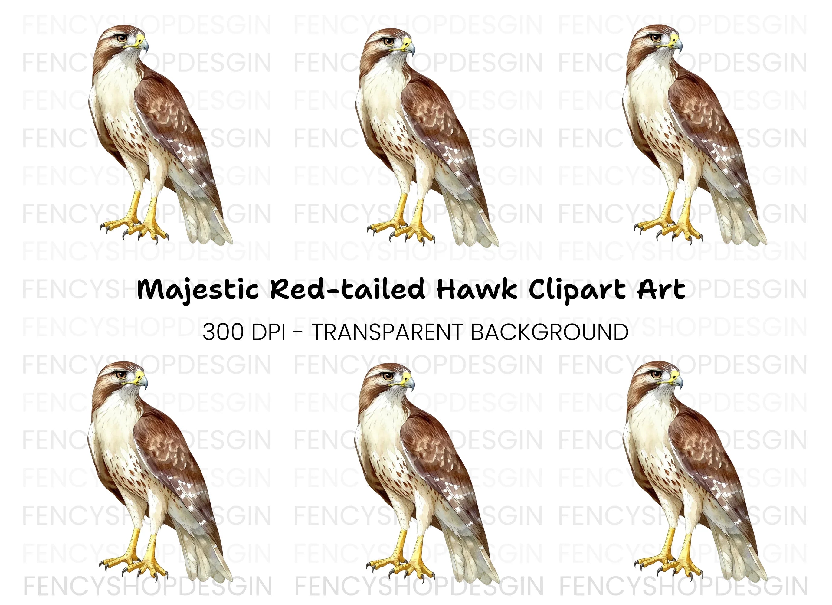 Majestic Red Tailed Hawk Clipart Bundle