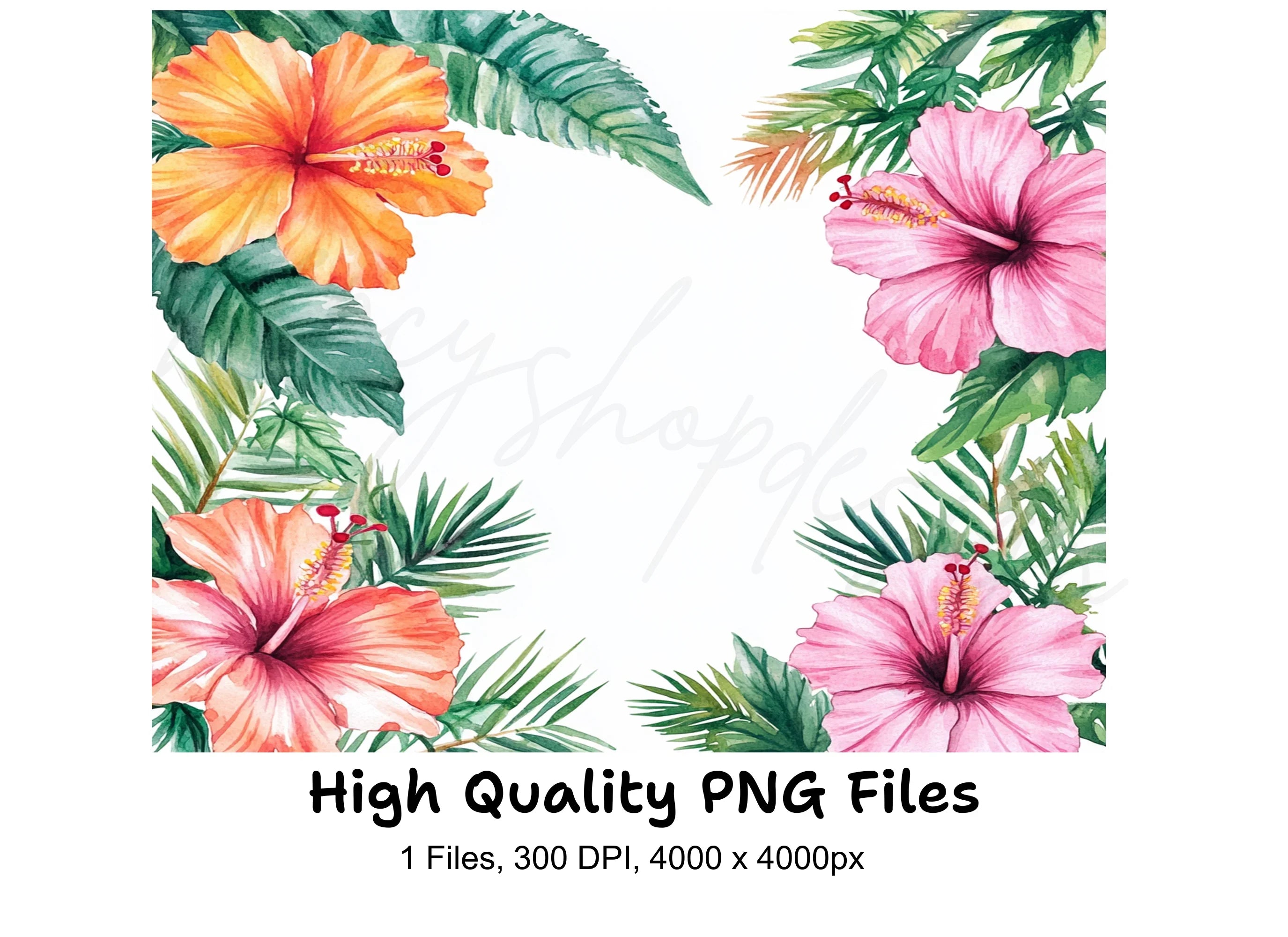Tropical Hibiscus Frame Clipart Bundle