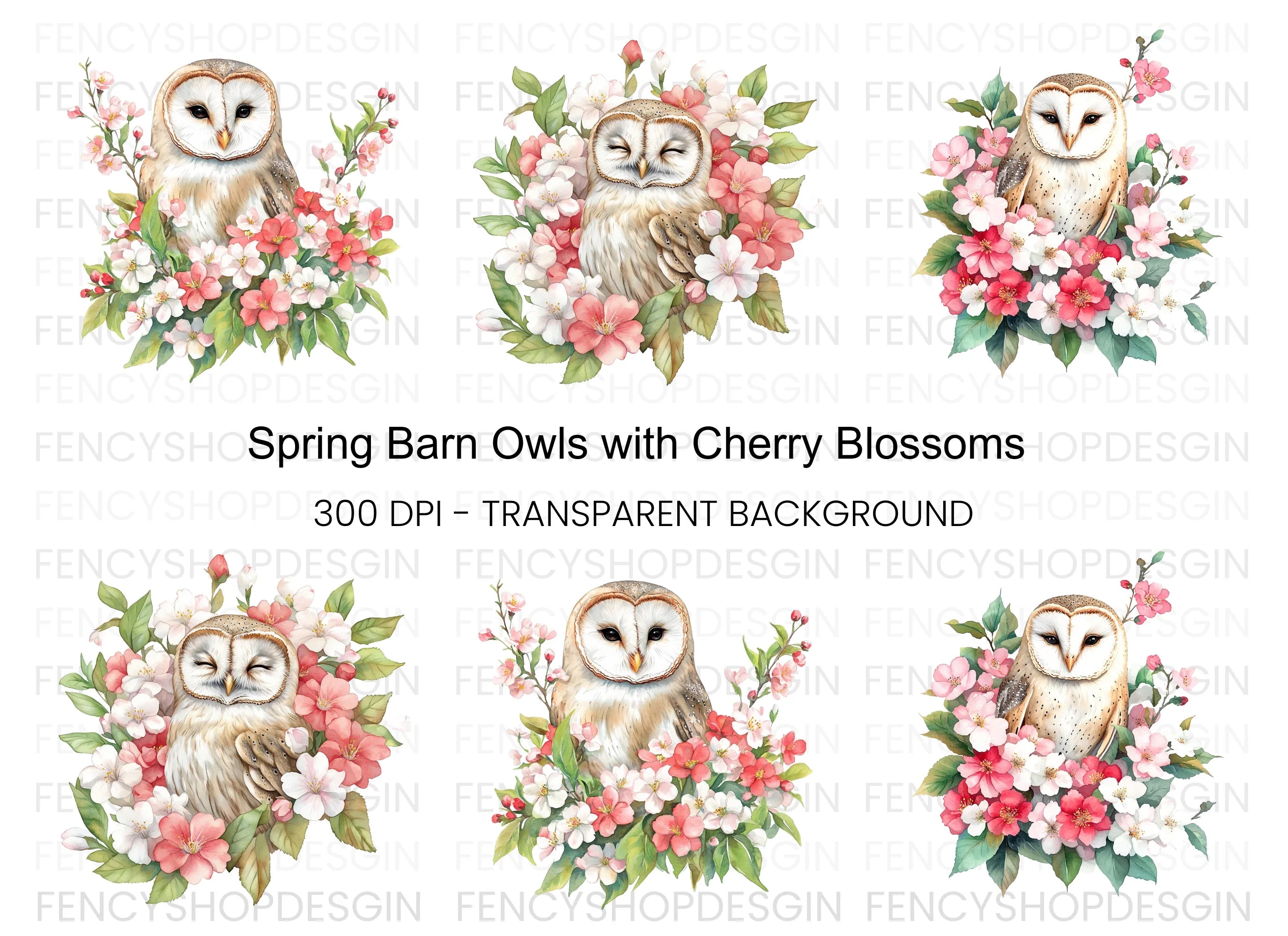 Floral Barn Owl Clipart Bundle
