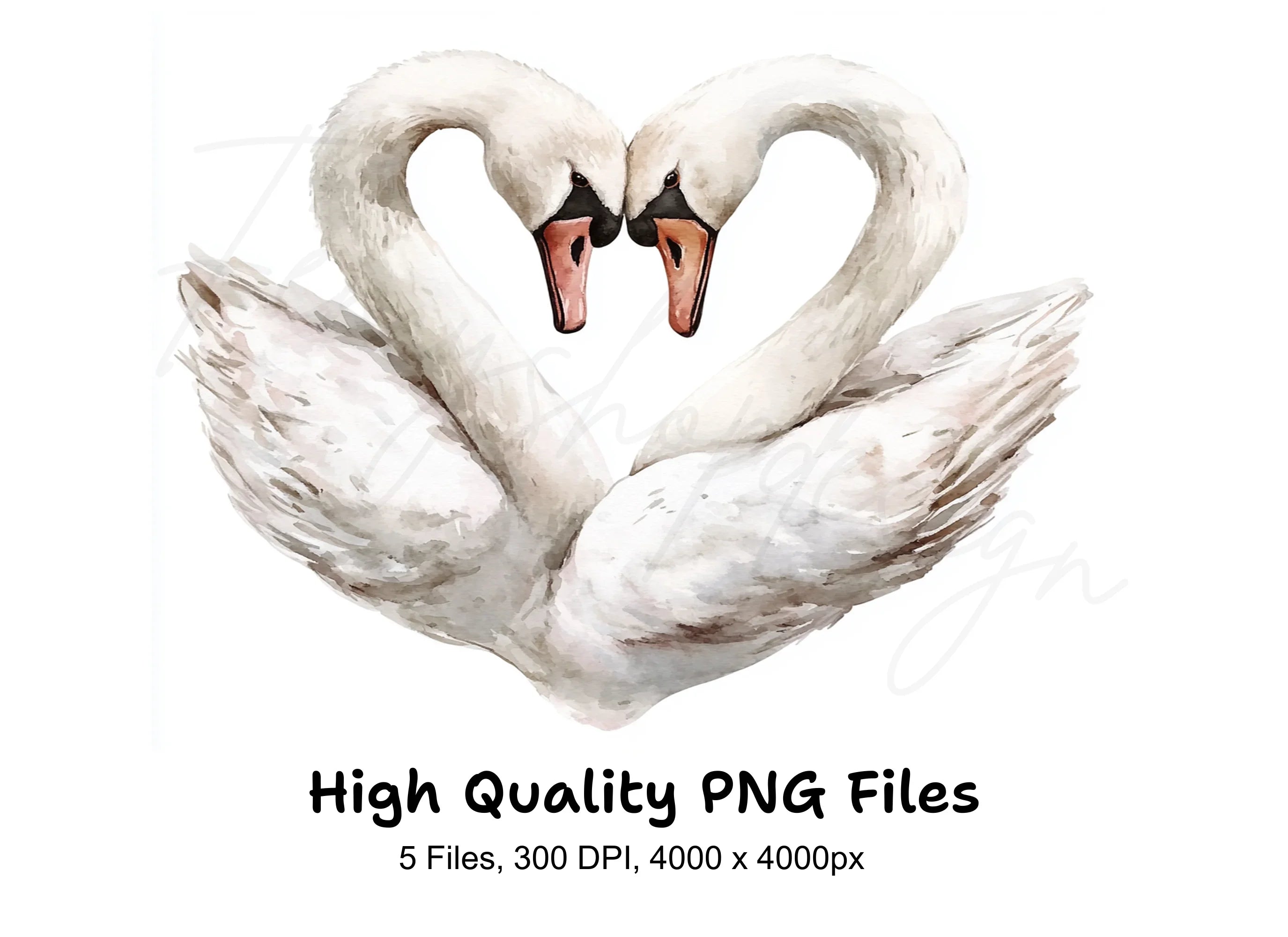 Swan Heart Clipart Bundle
