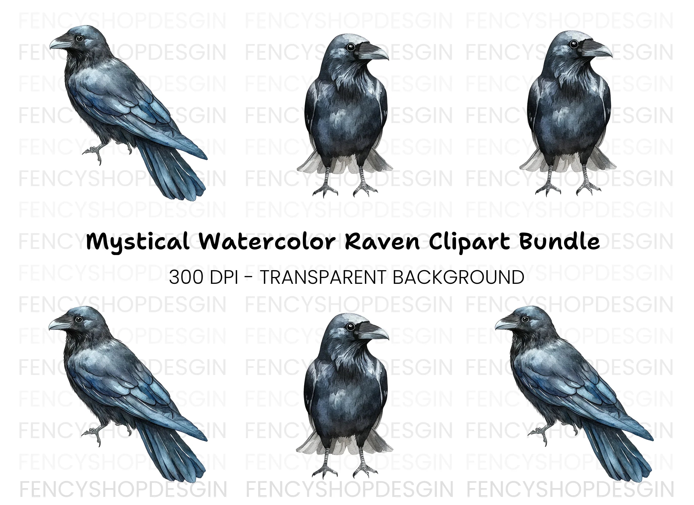 Raven Illustrations Clipart Bundle