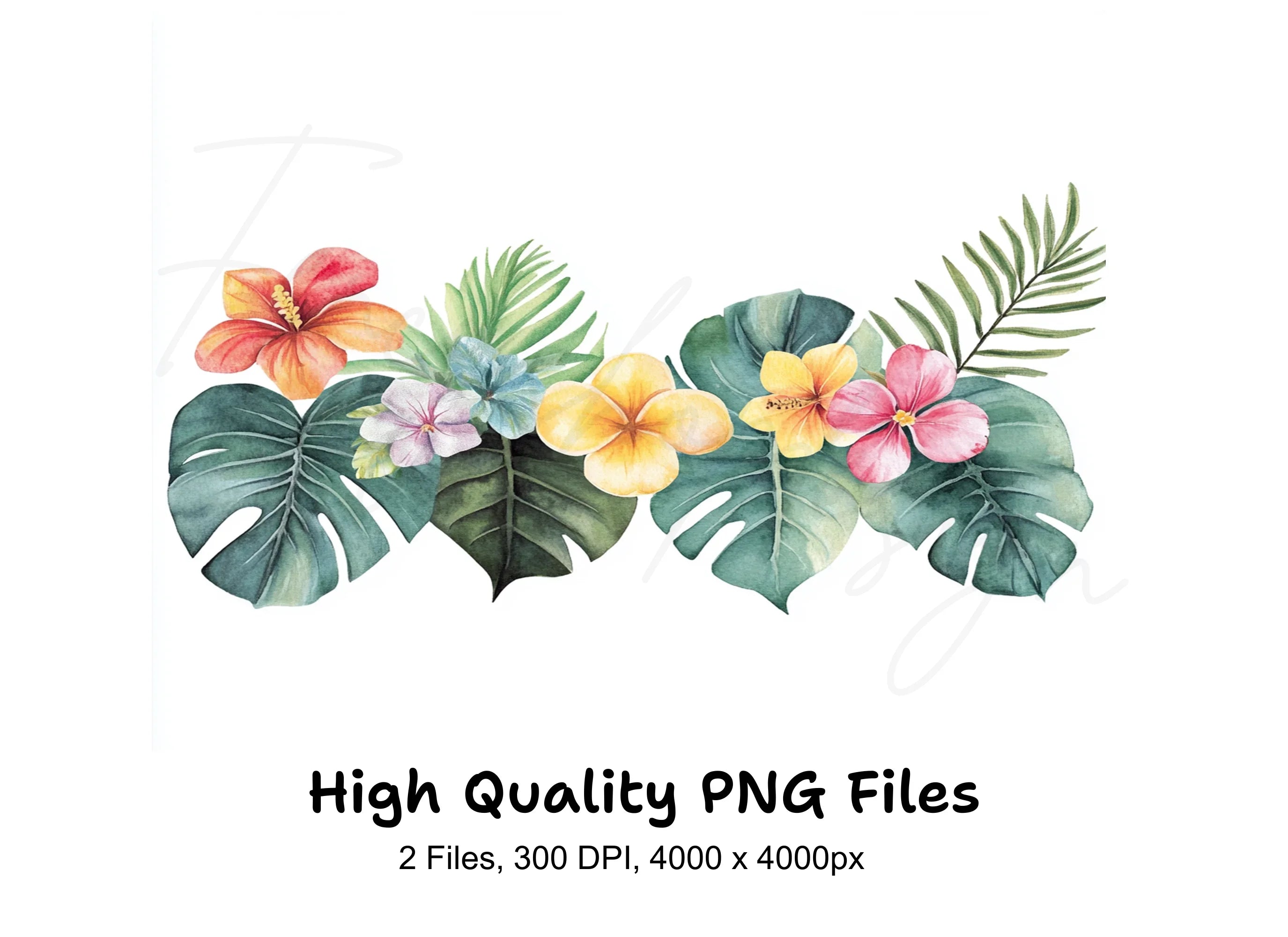 Tropical Flowers and Leaves Clipart Bundle