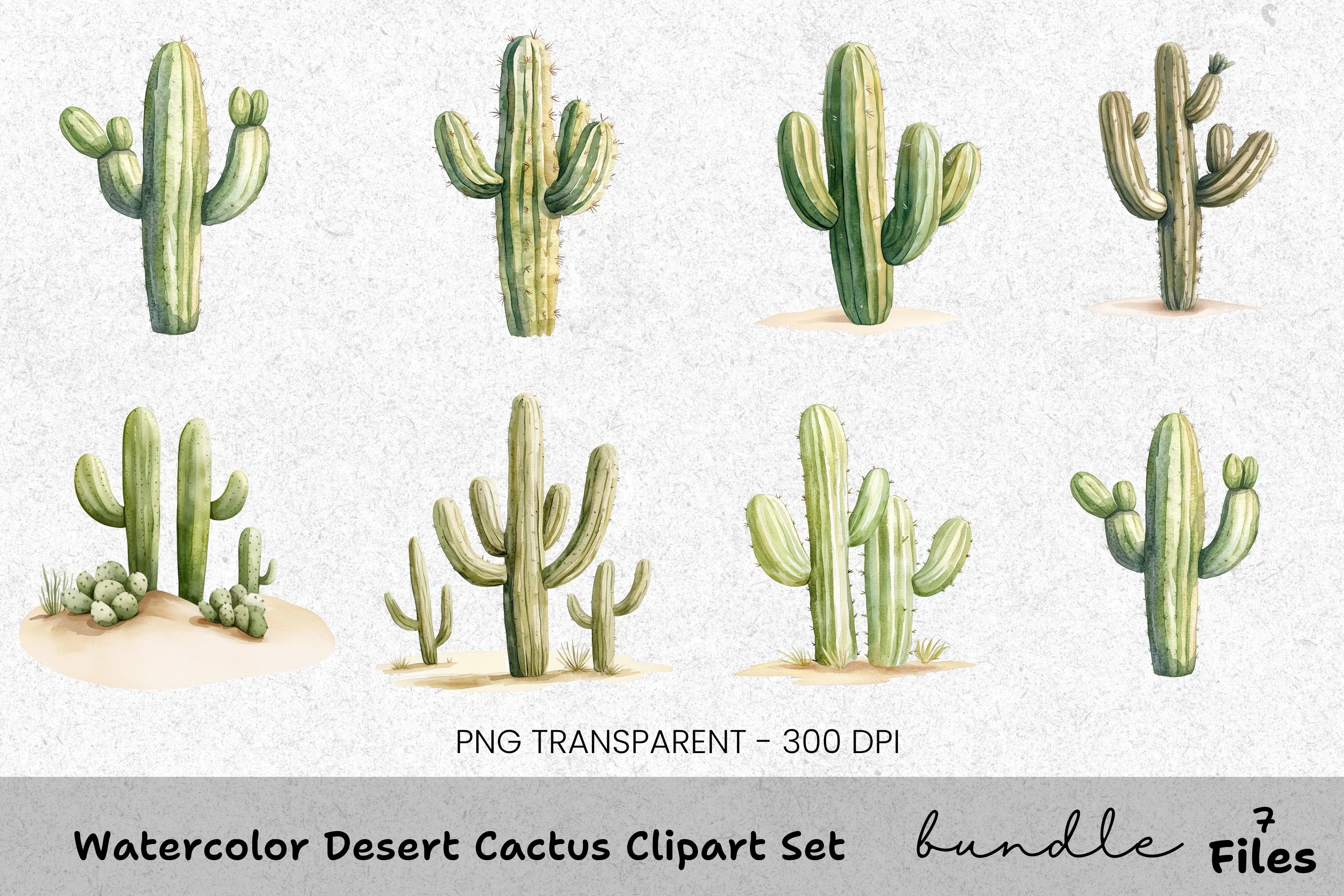 Desert Cactus Clipart Bundle