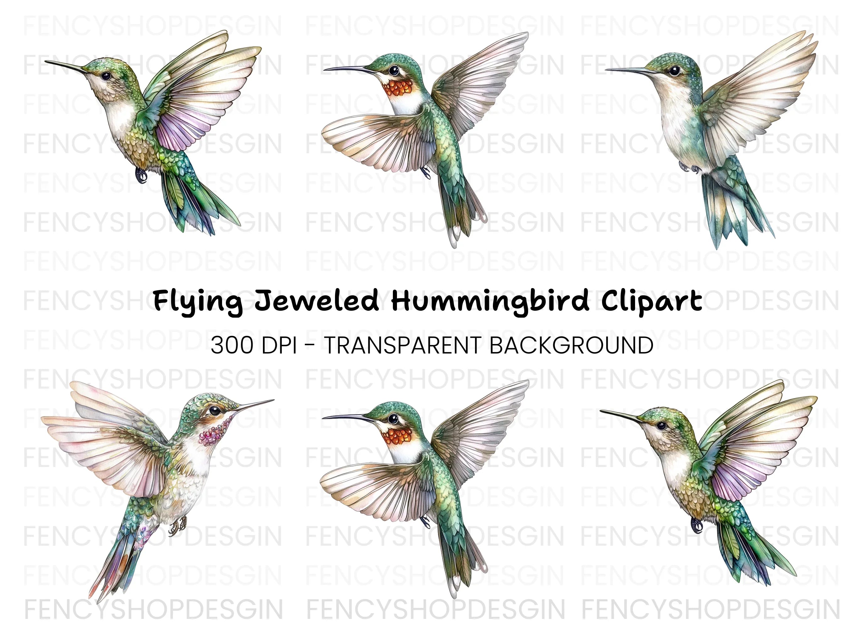 Hummingbird Clipart Bundle
