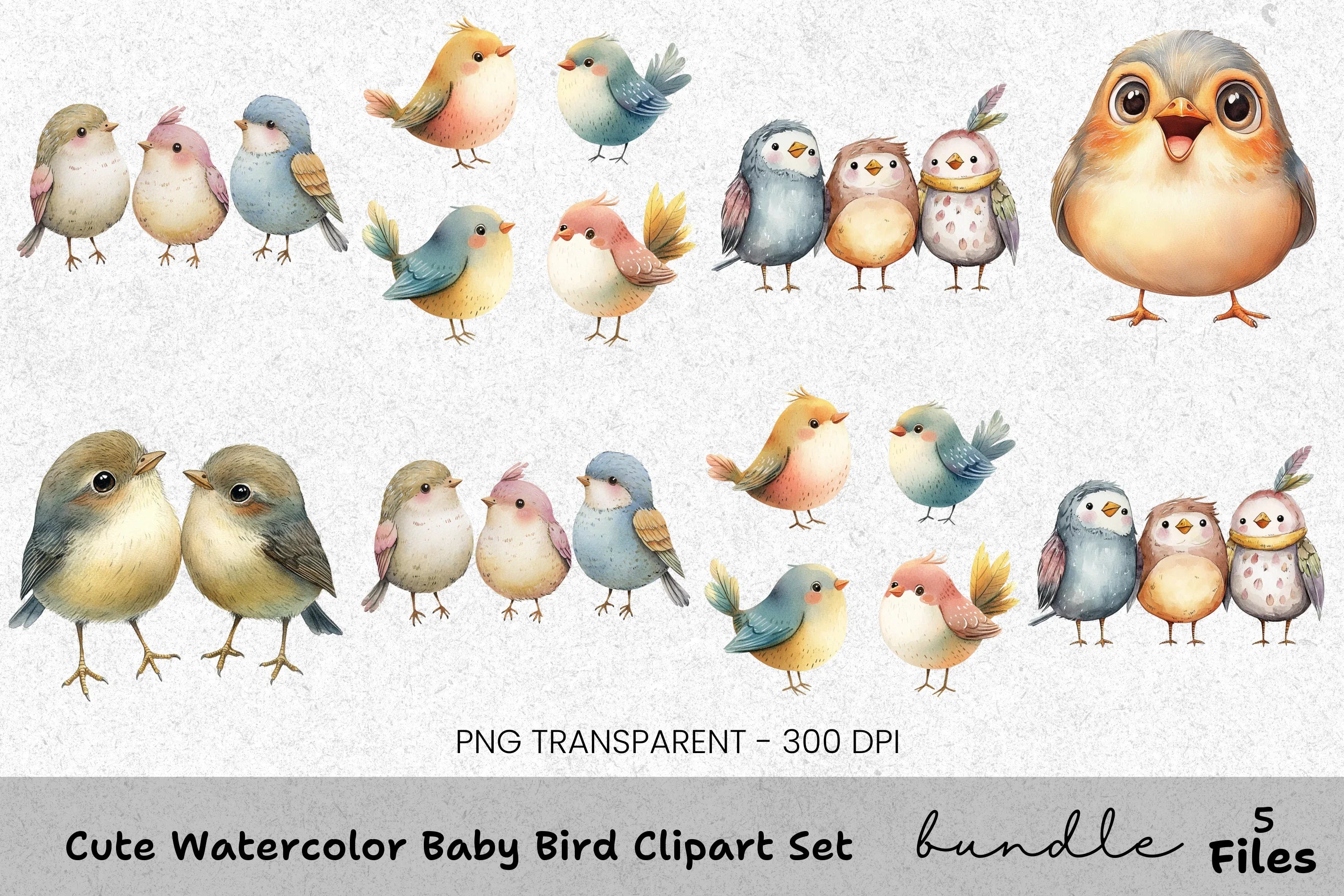 Cute Baby Bird Clipart Bundle