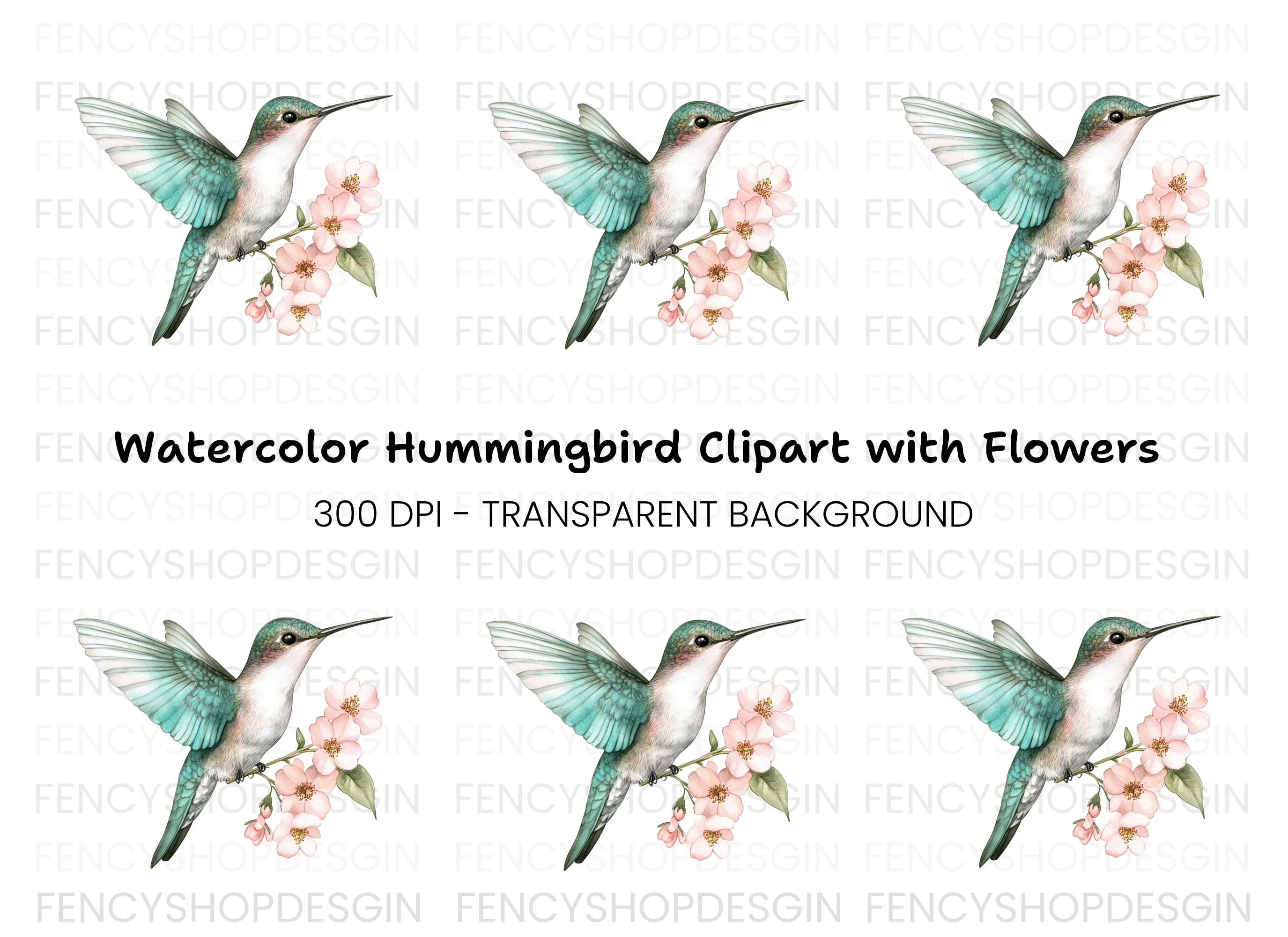 Hummingbird and Cherry Blossom Clipart Bundle