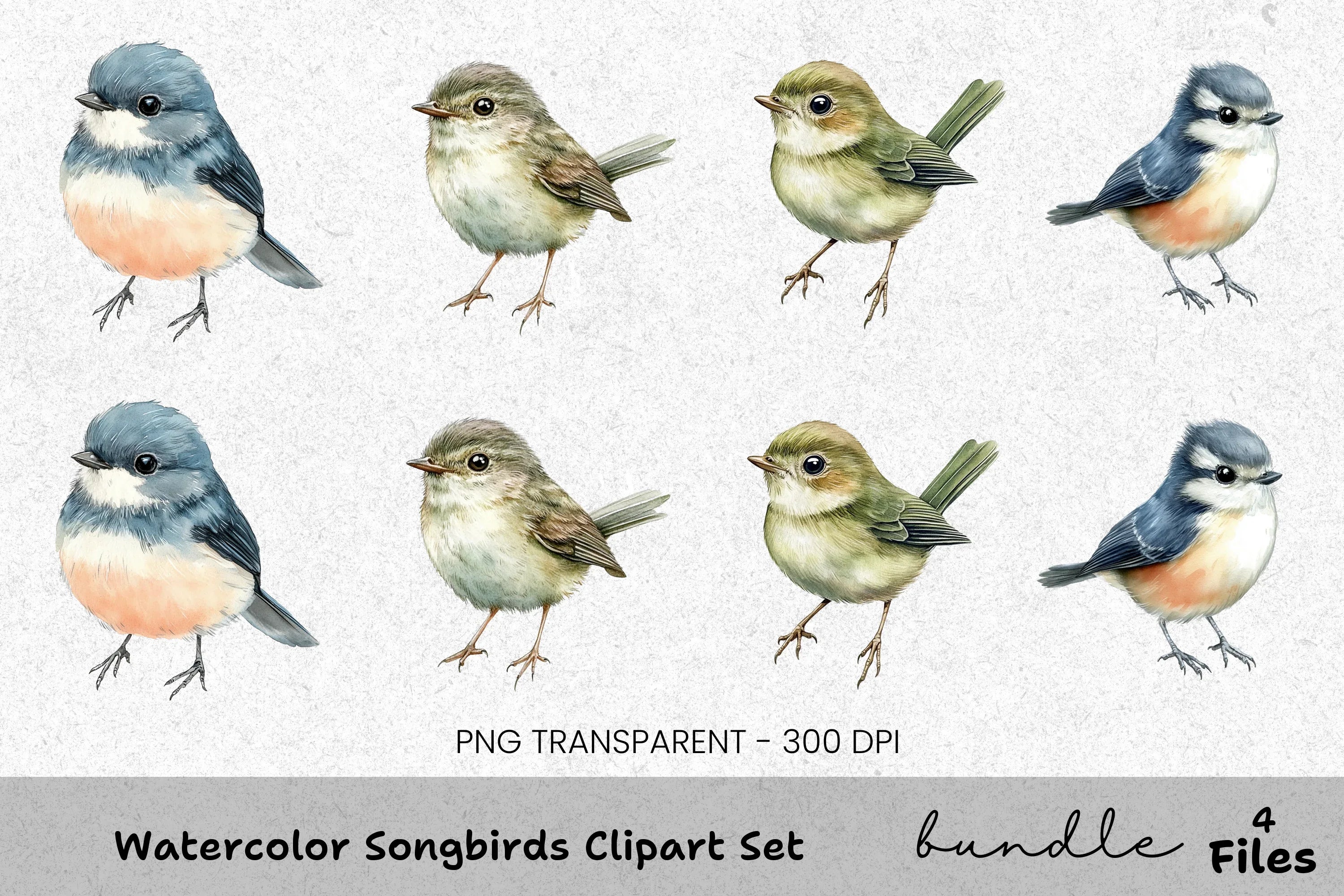 Songbirds Clipart Bundle
