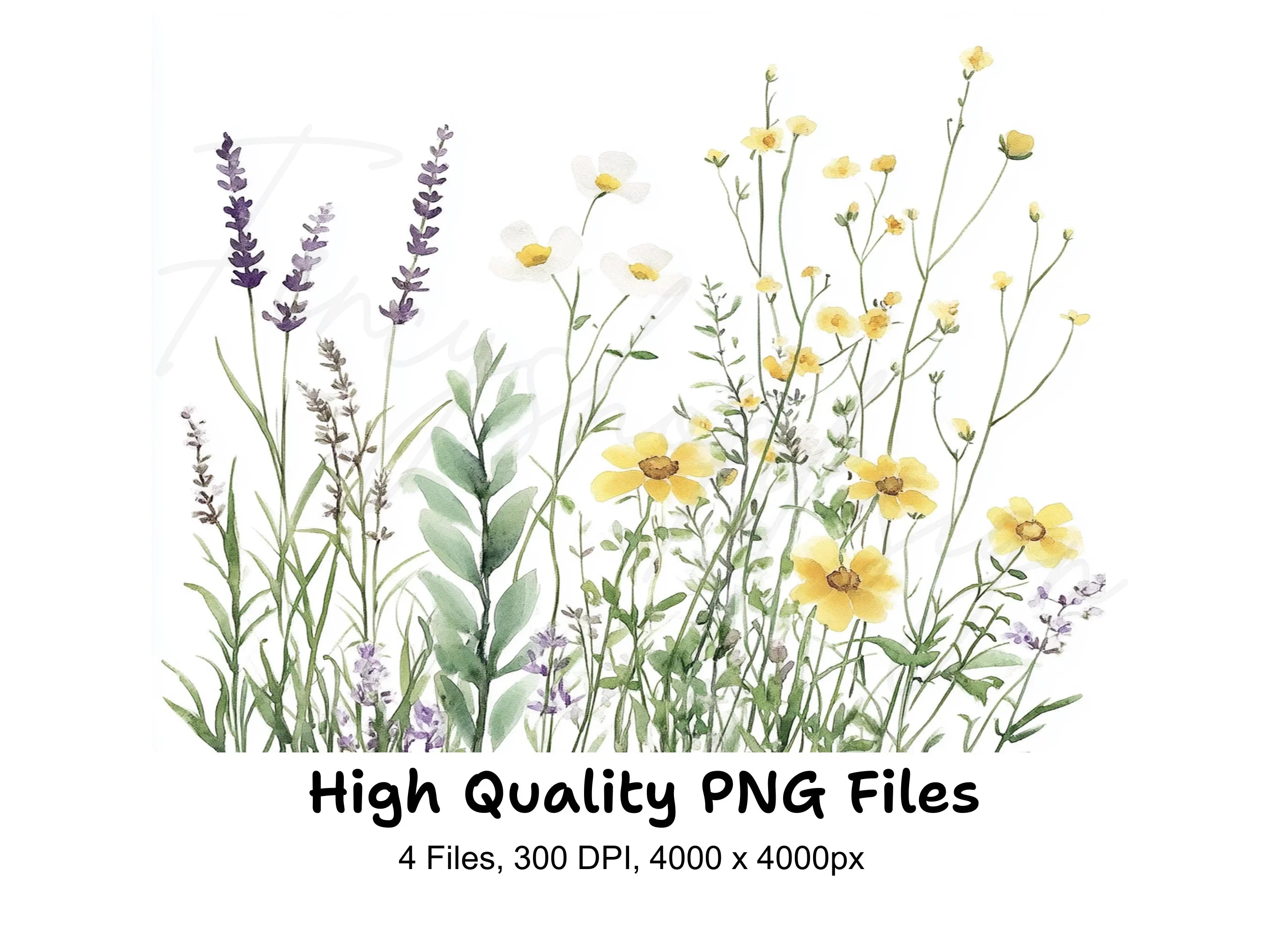 Wildflower Meadow Clipart Bundle