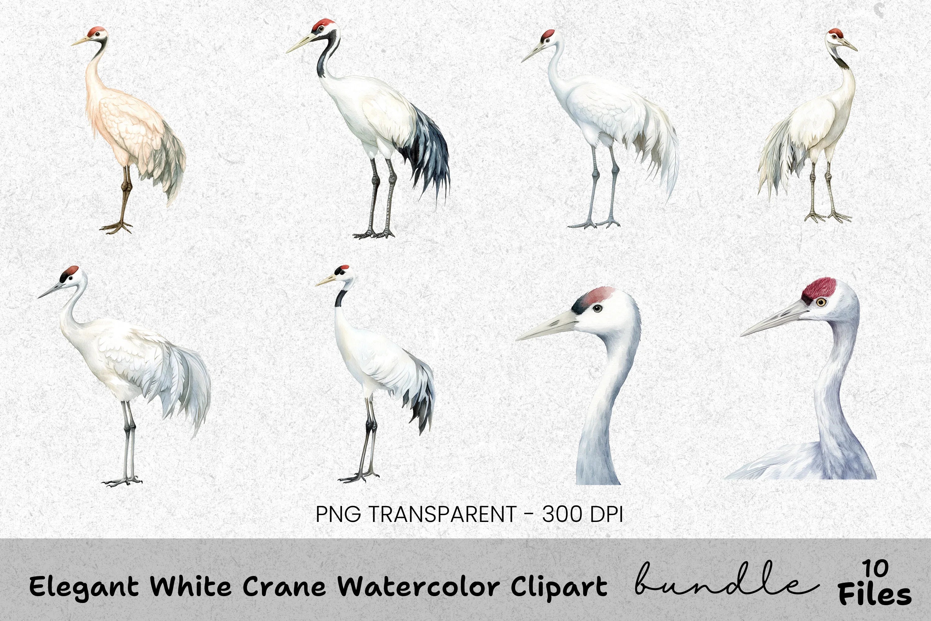 Elegant White Crane Clipart Bundle