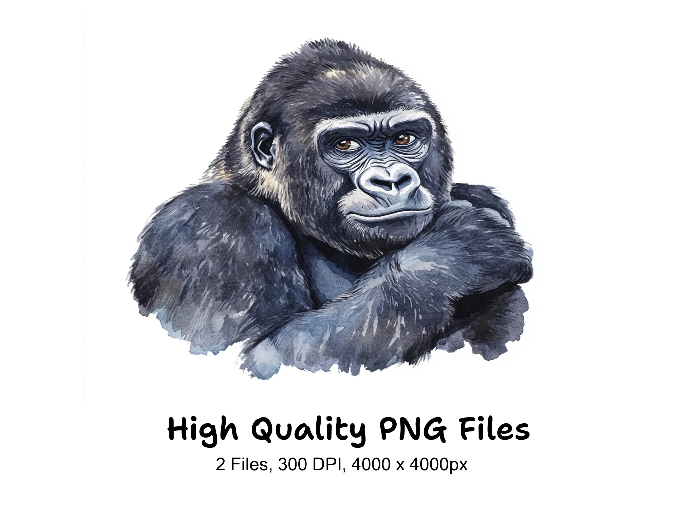 Gorilla Head Bust Clipart Bundle