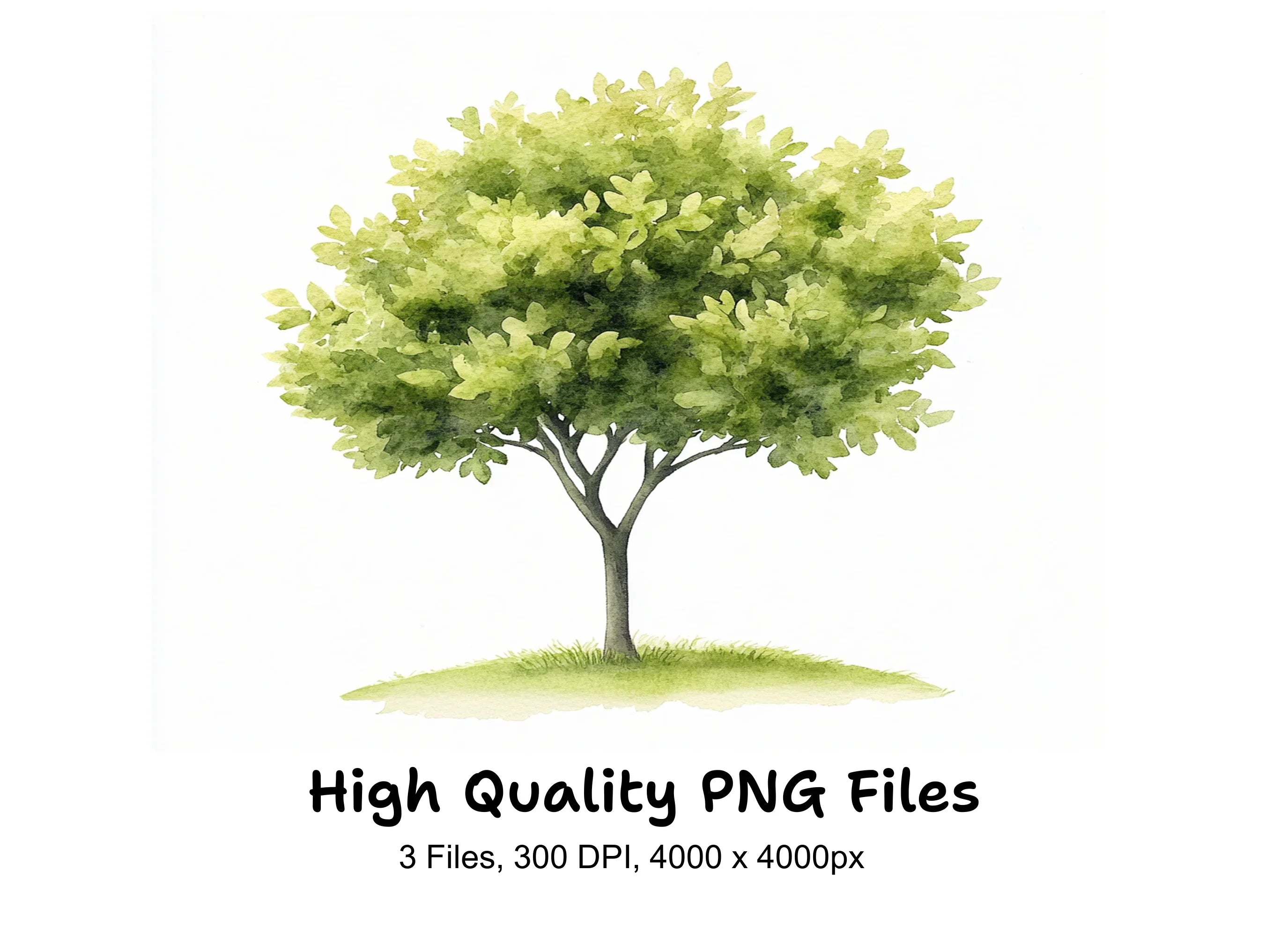 Green Trees Clipart Bundle